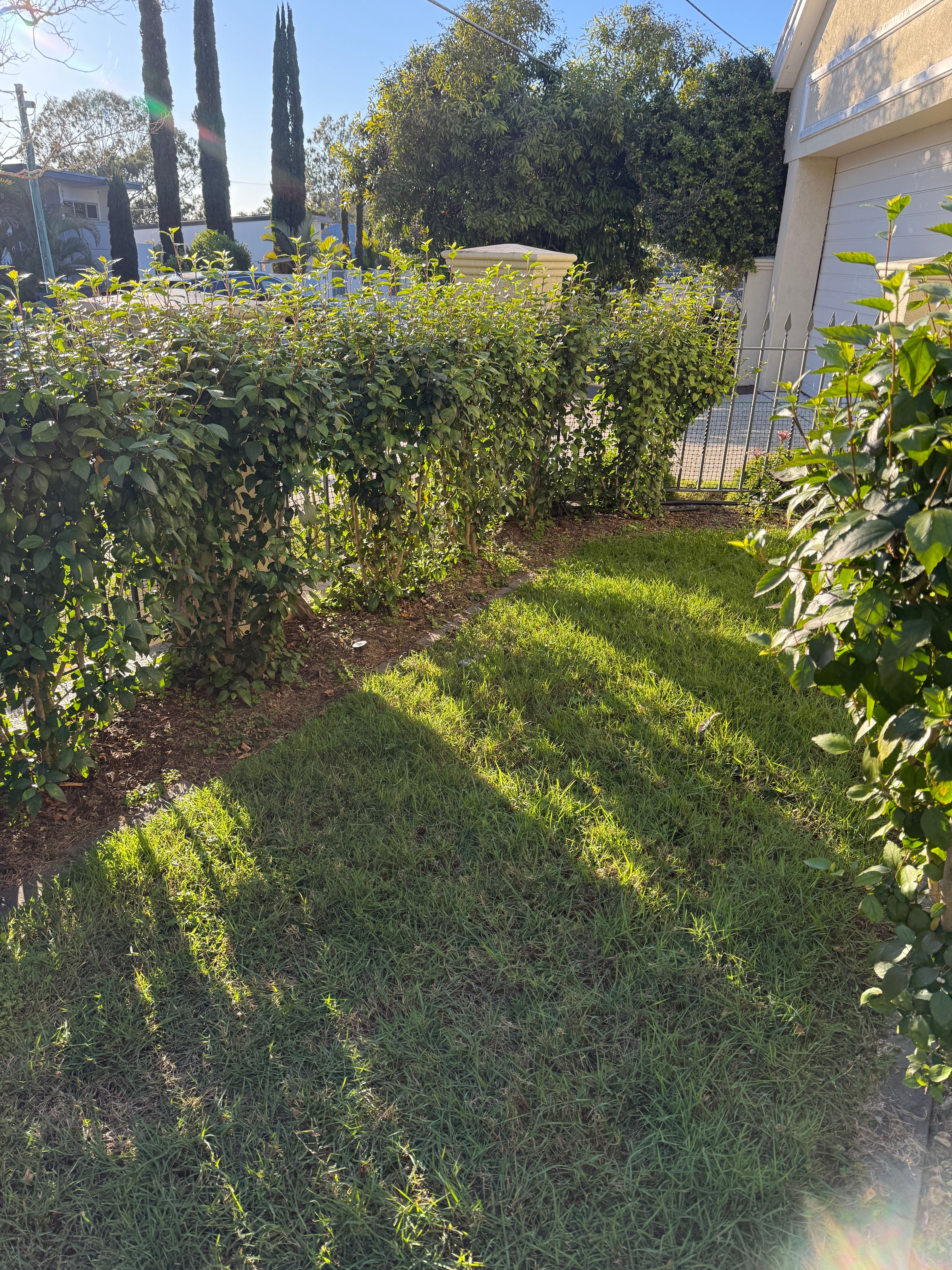 image-16