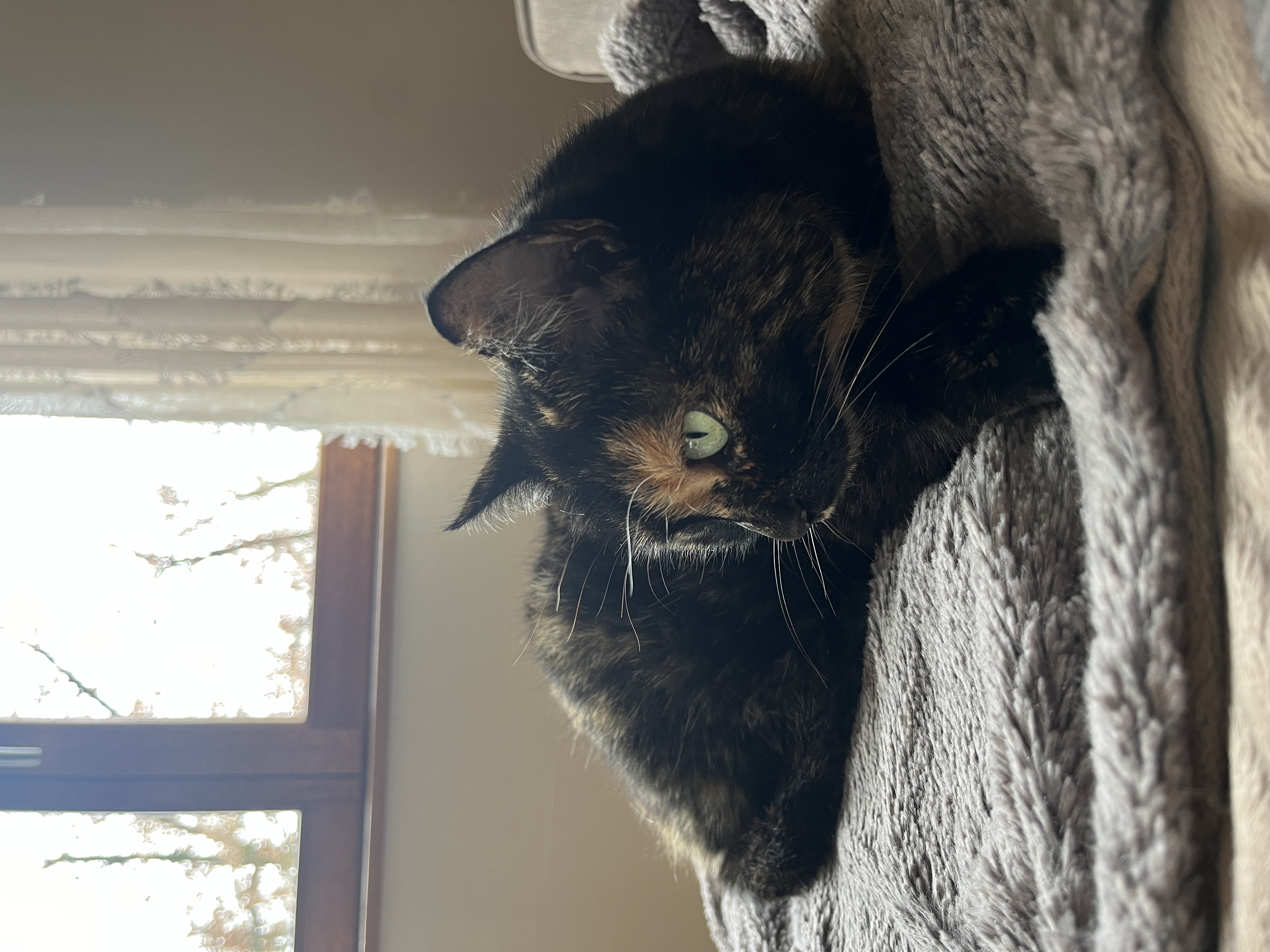 image-8