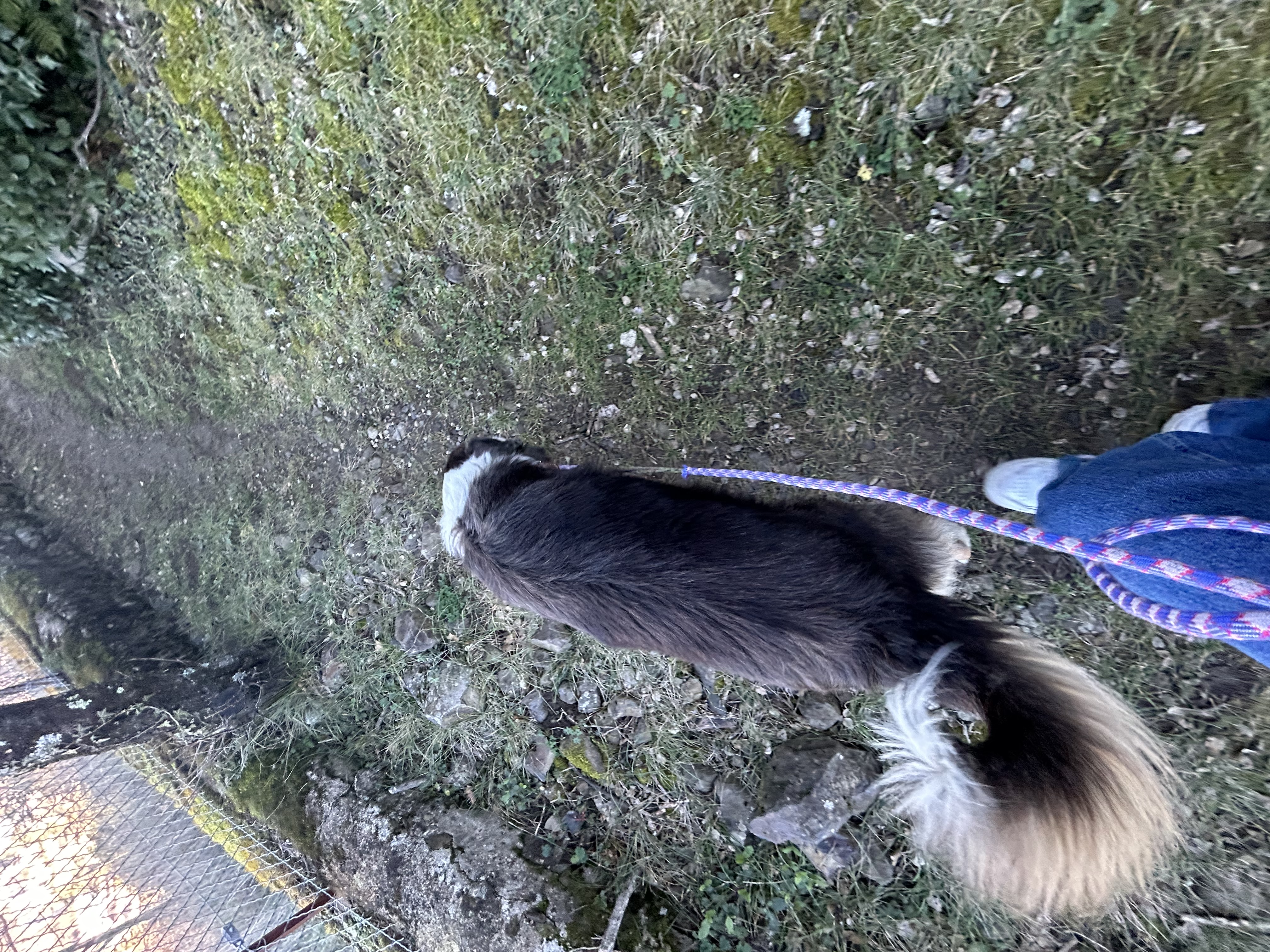 image-6