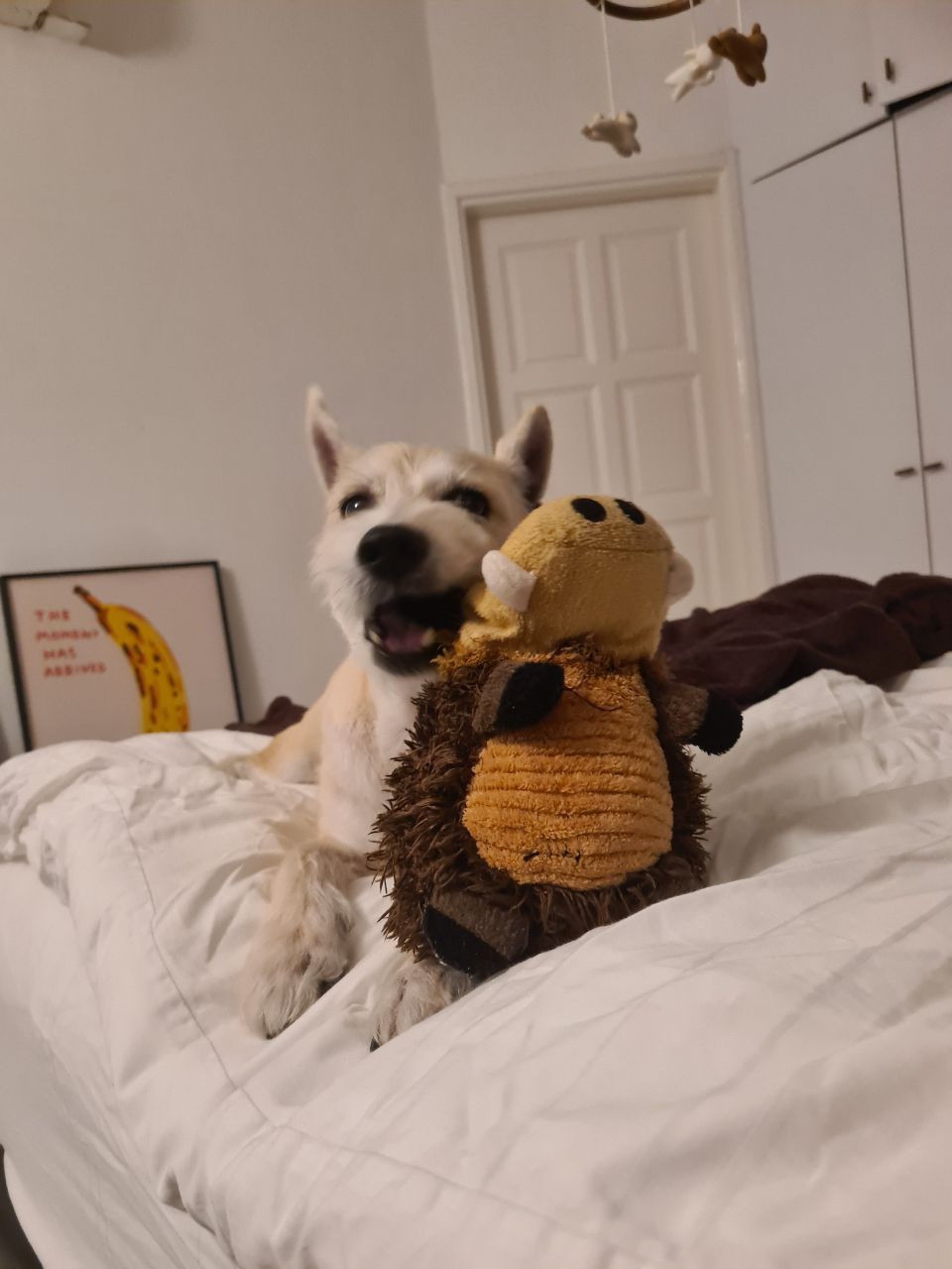 image-6