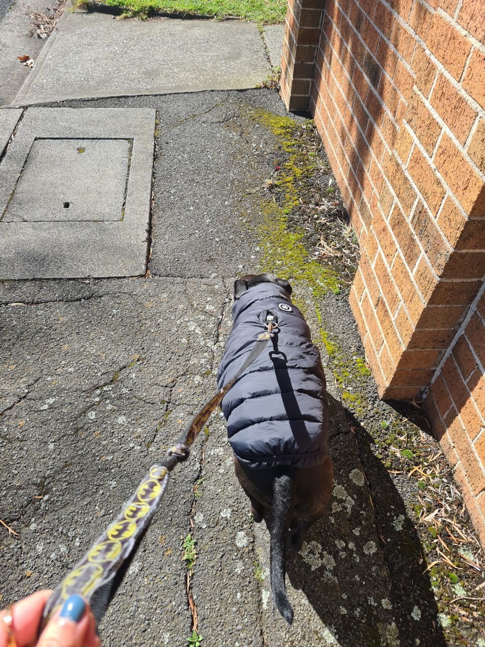 image-10