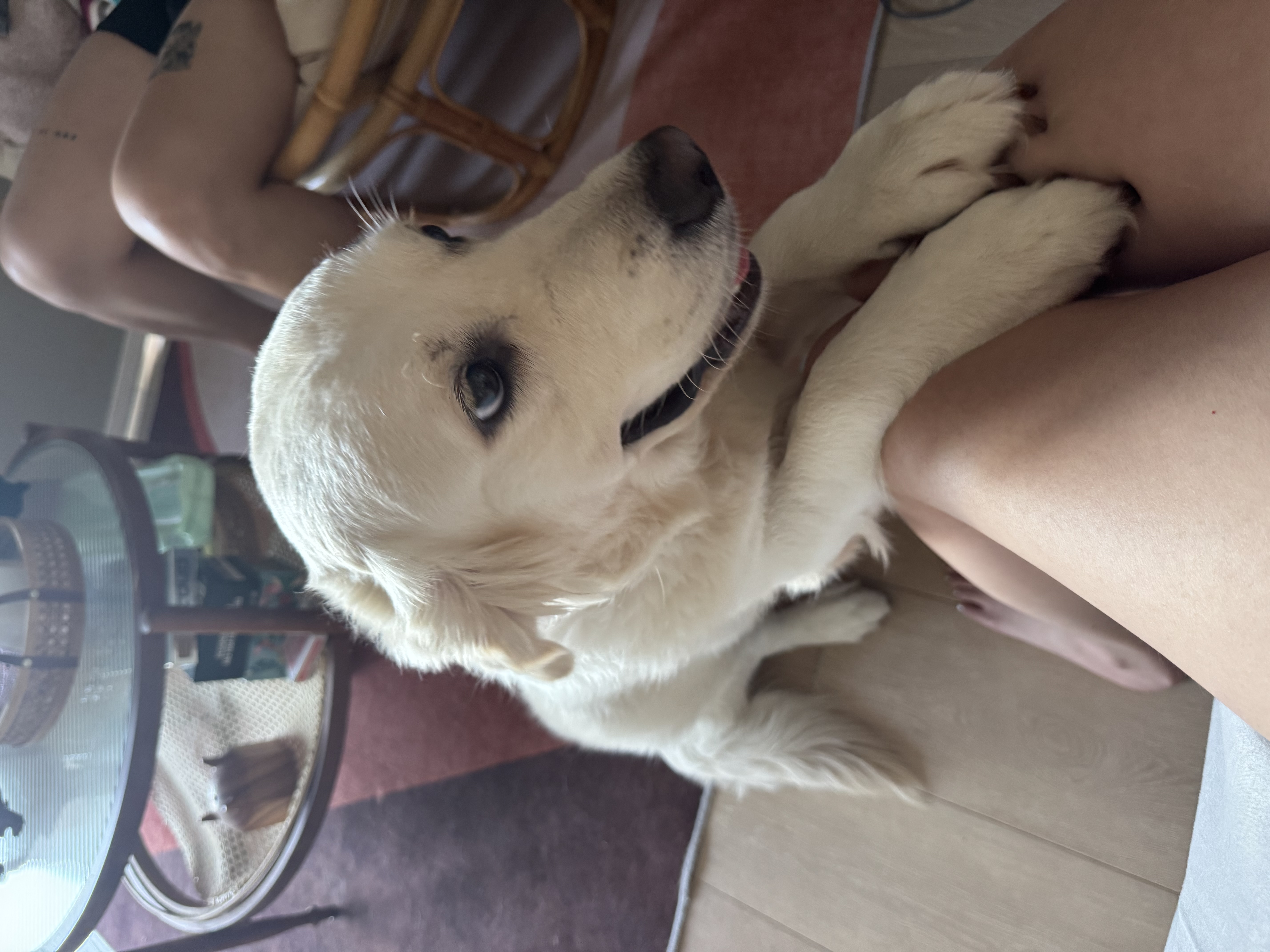 image-7