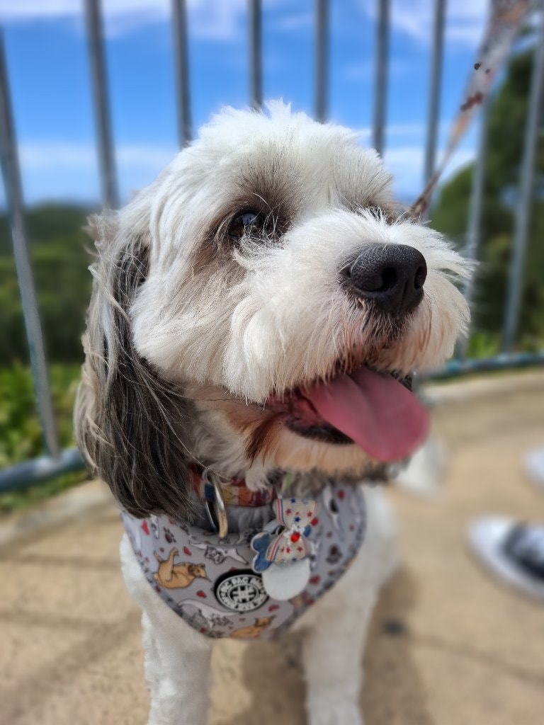 Max