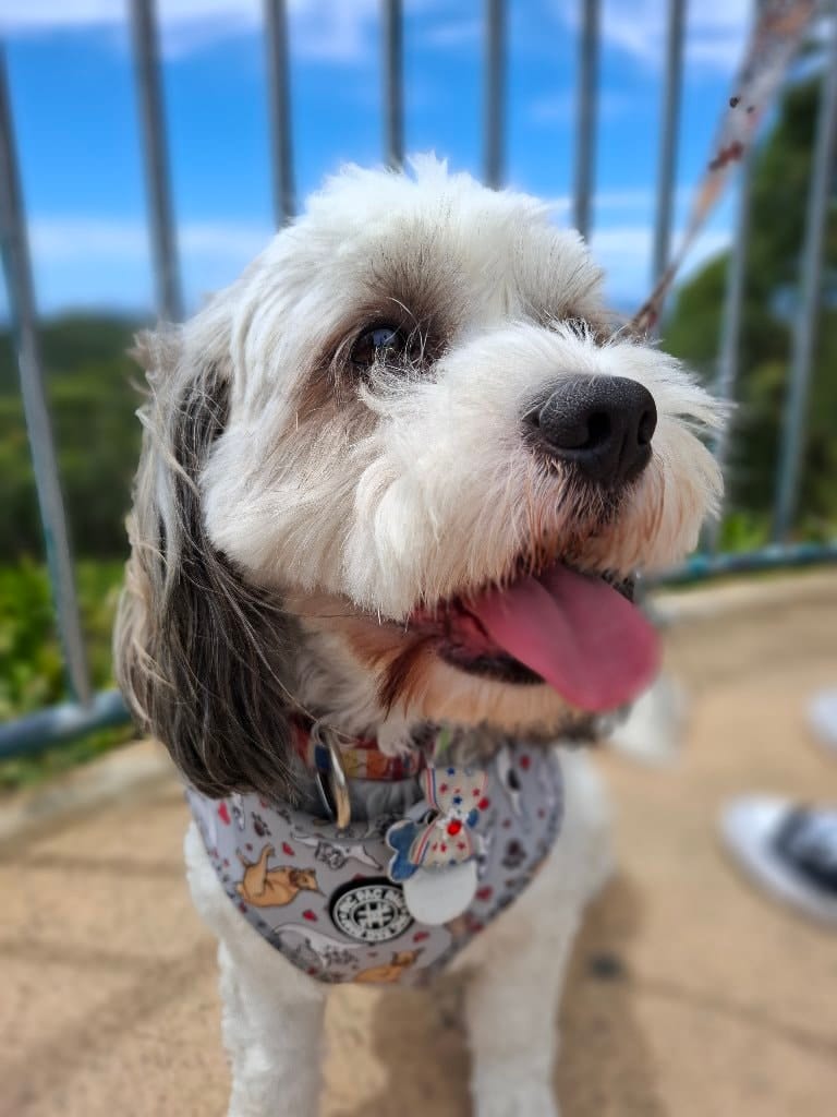 Max