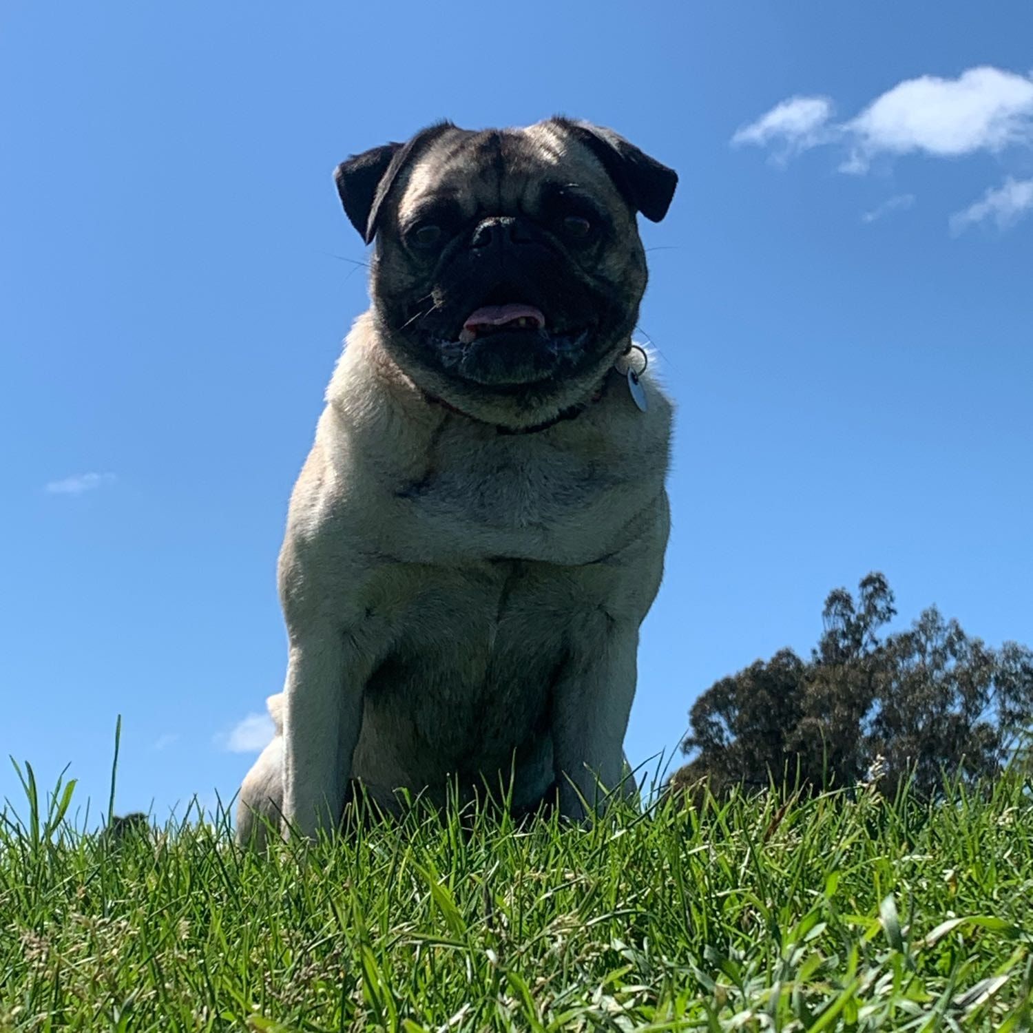 Maggie