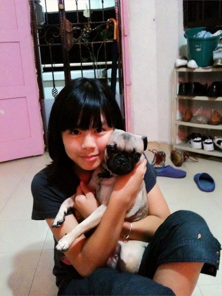 image-8
