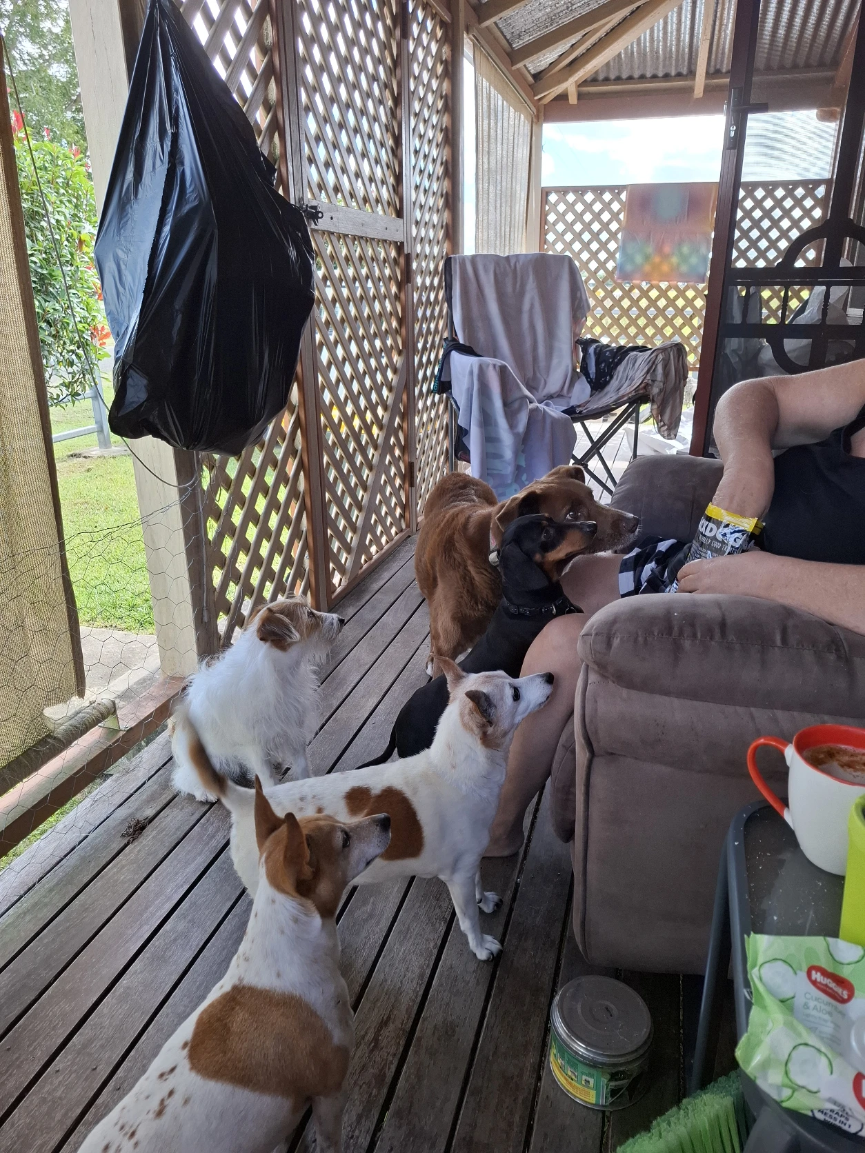 image-13