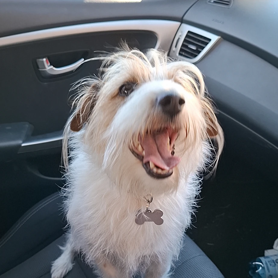 Sadie Lou