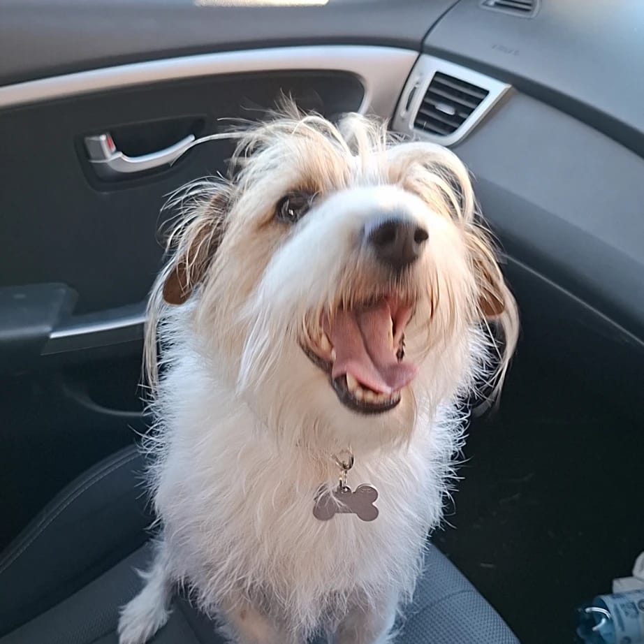 Sadie Lou