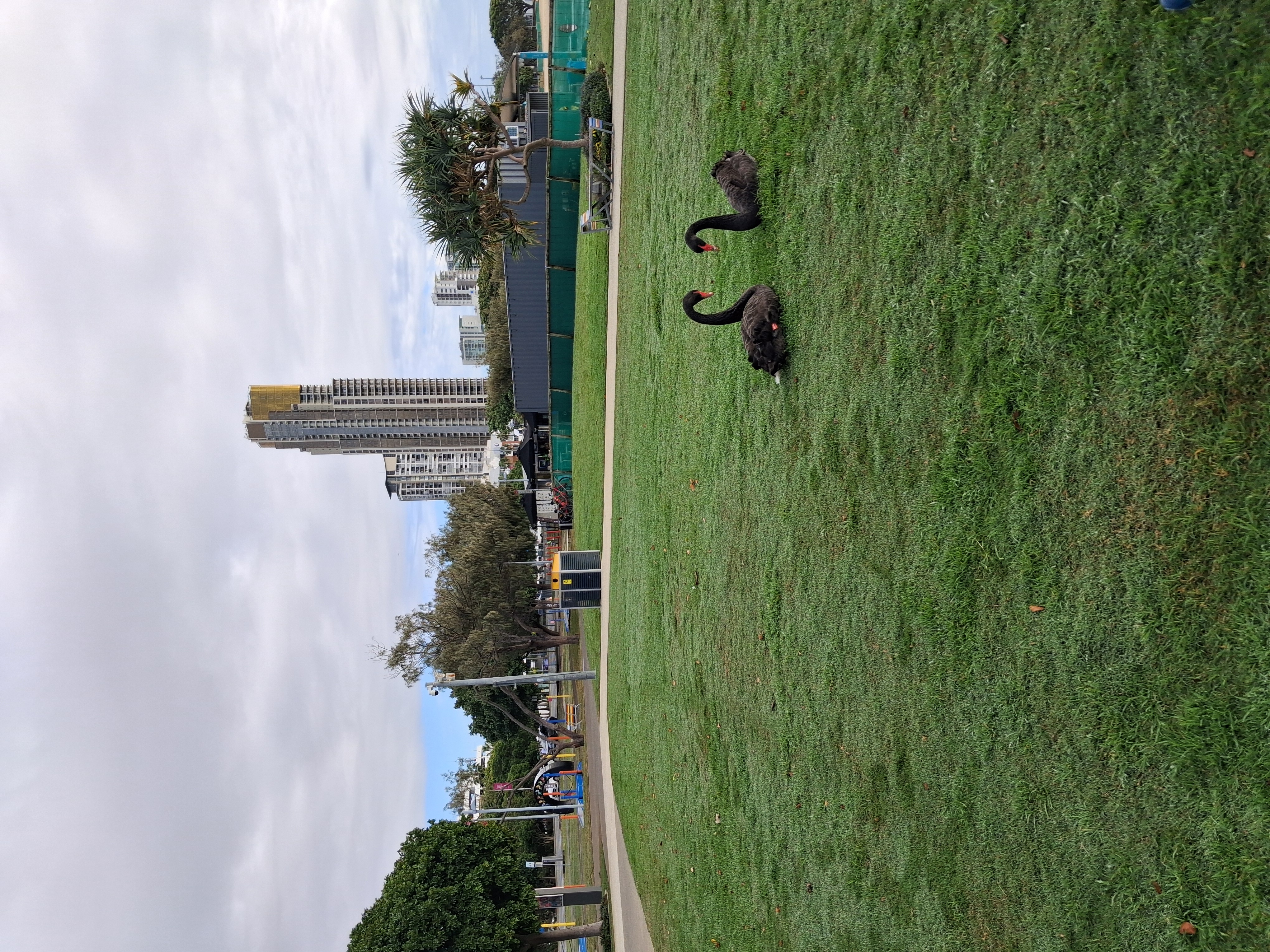image-12