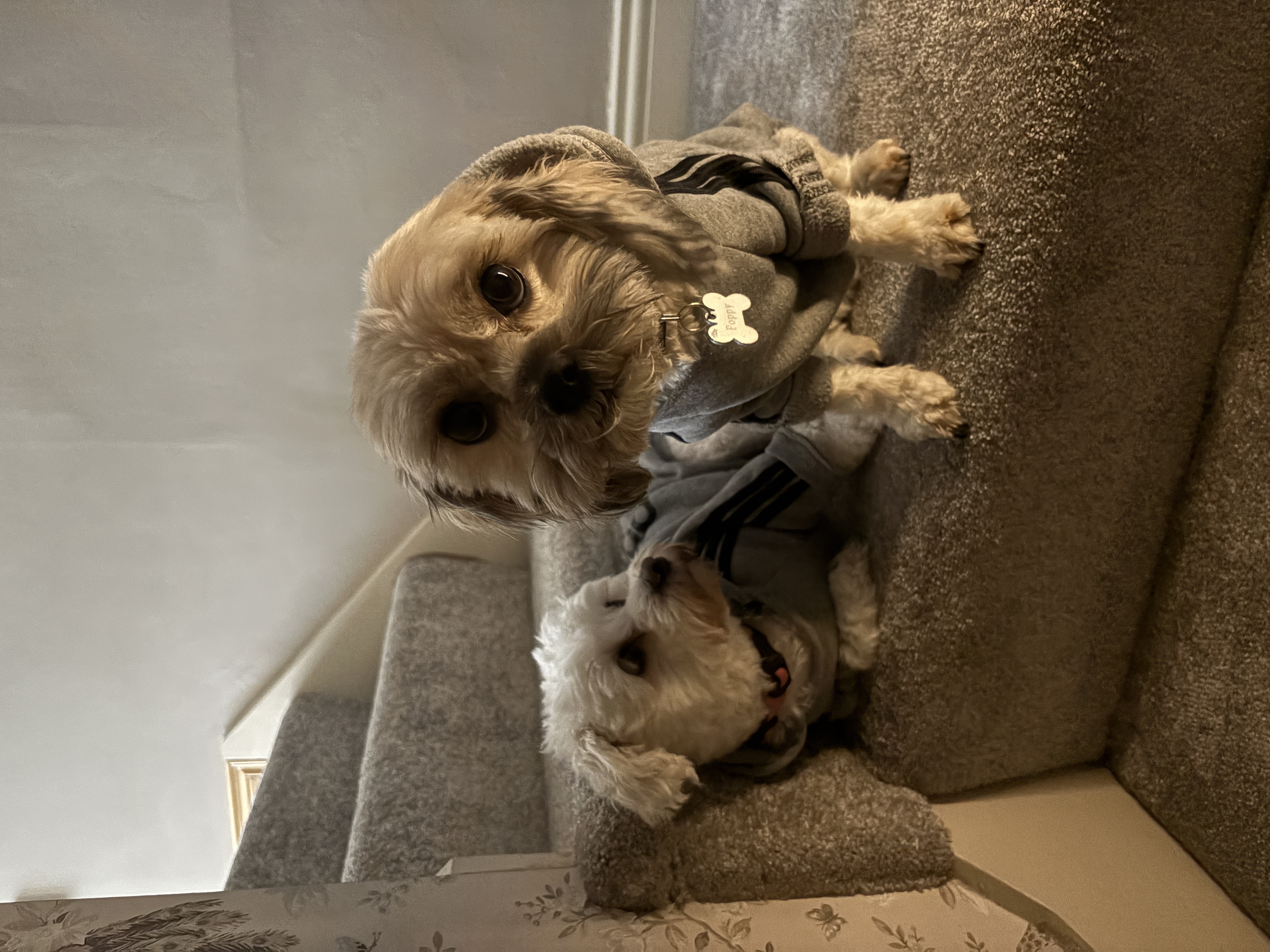 image-9