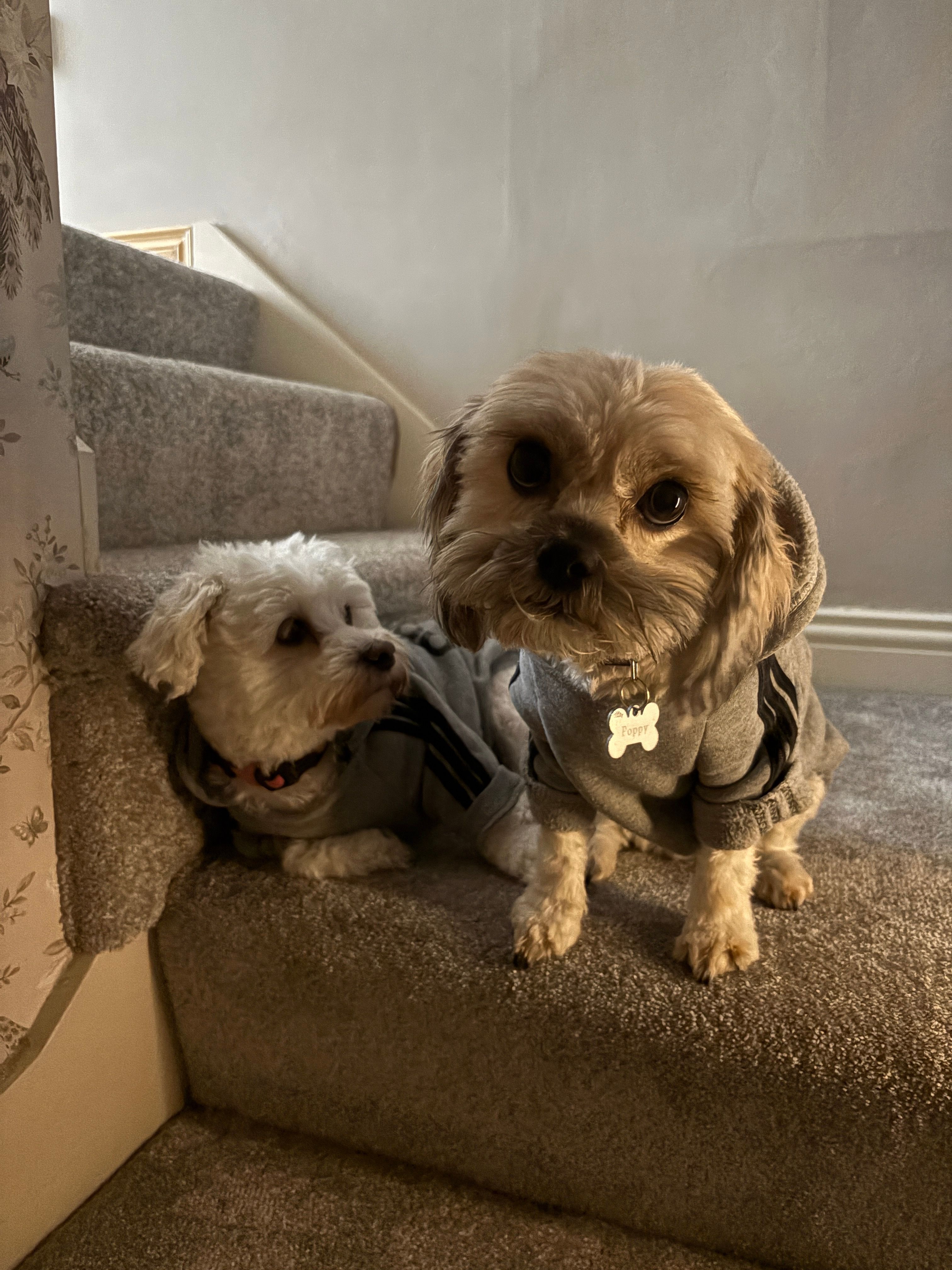 image-9