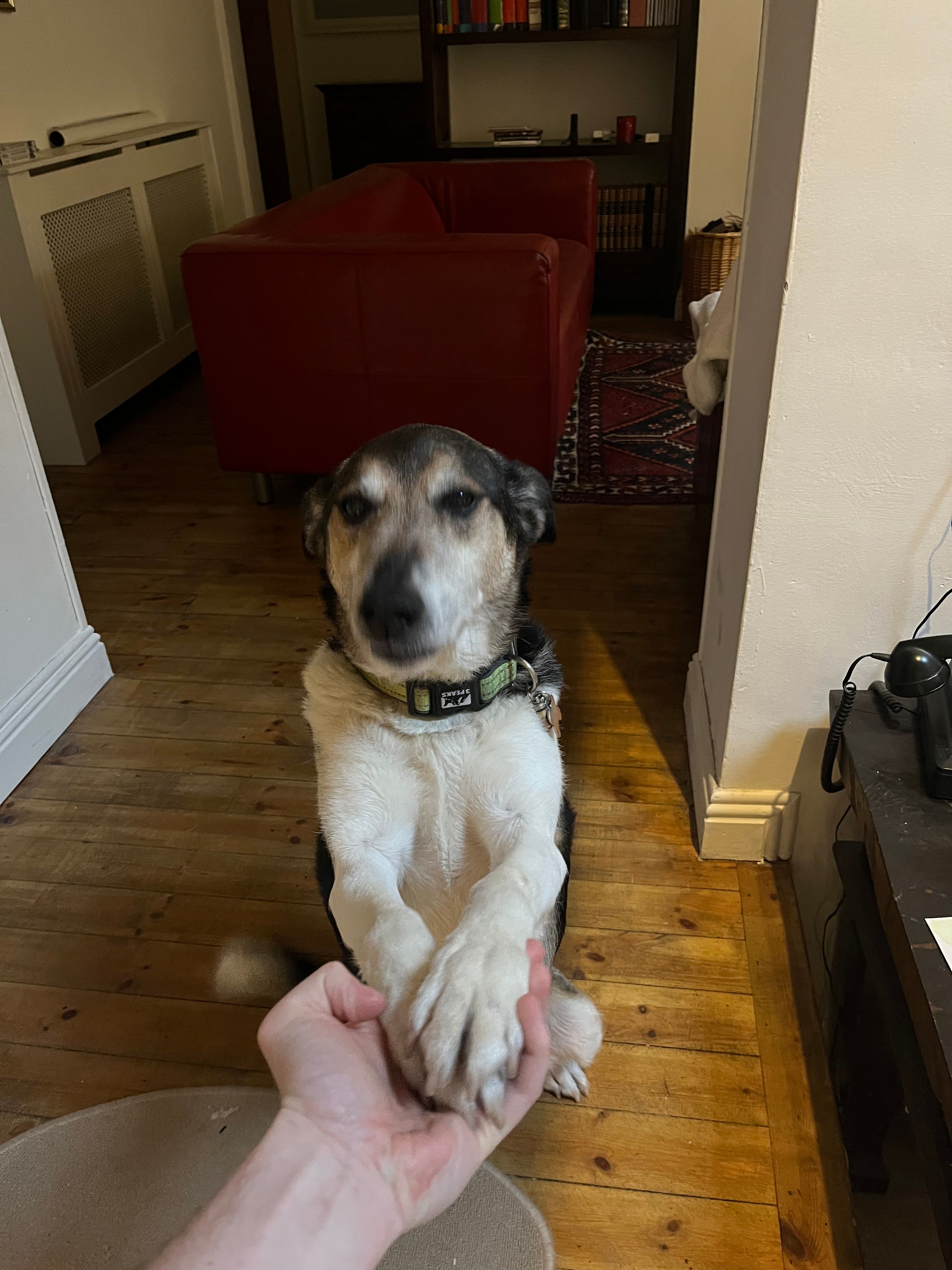 image-2