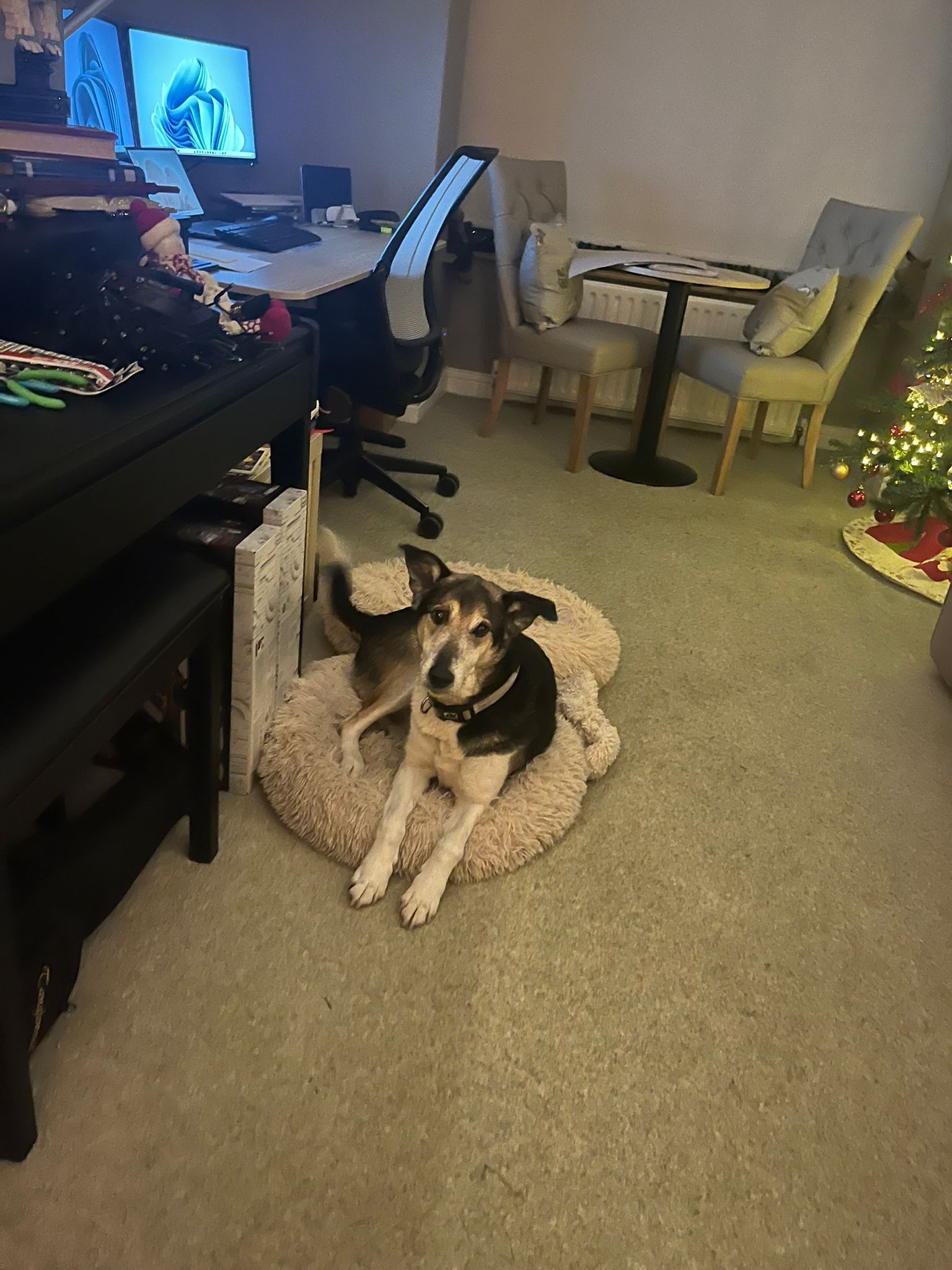 image-8
