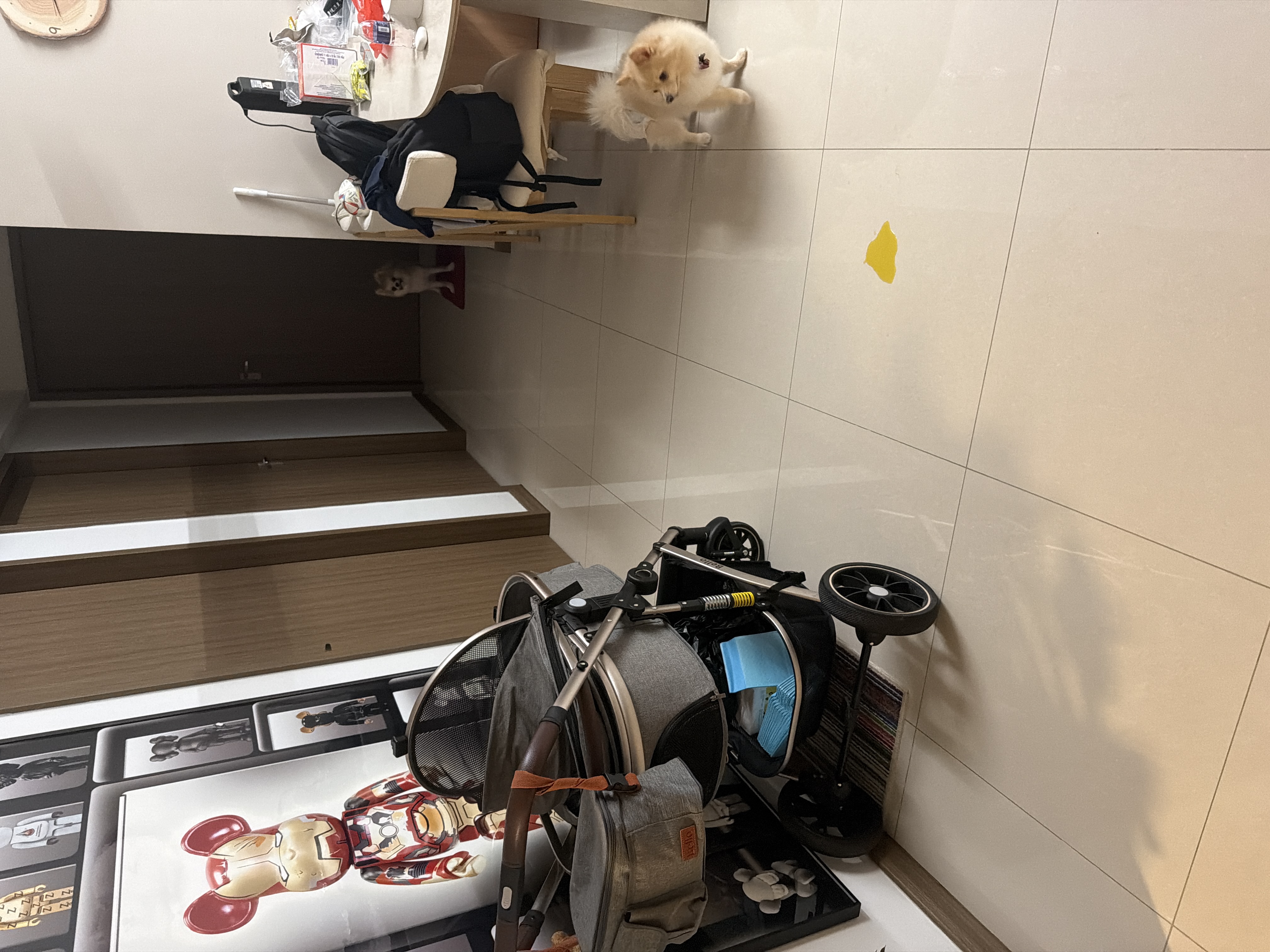 image-7