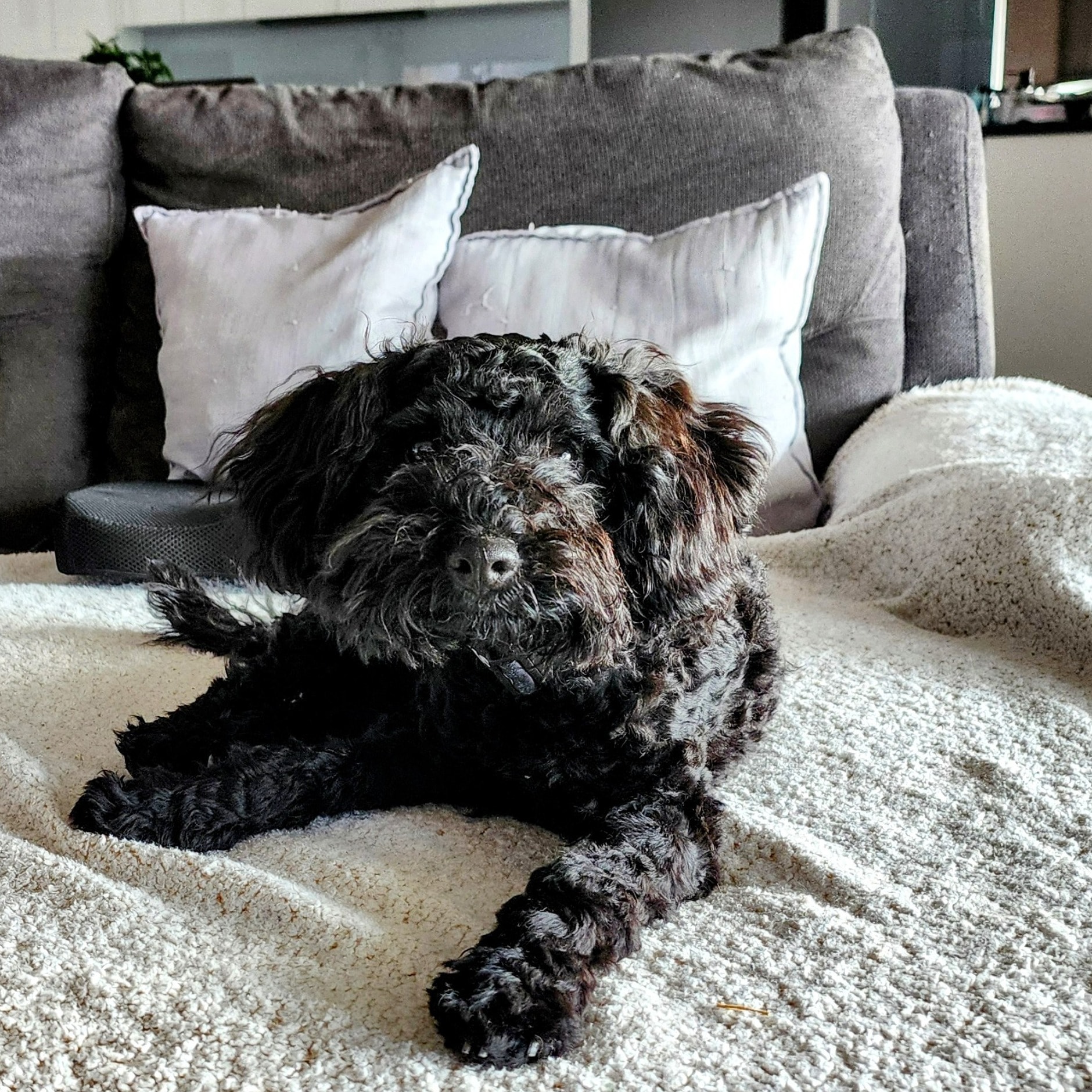 Tobi