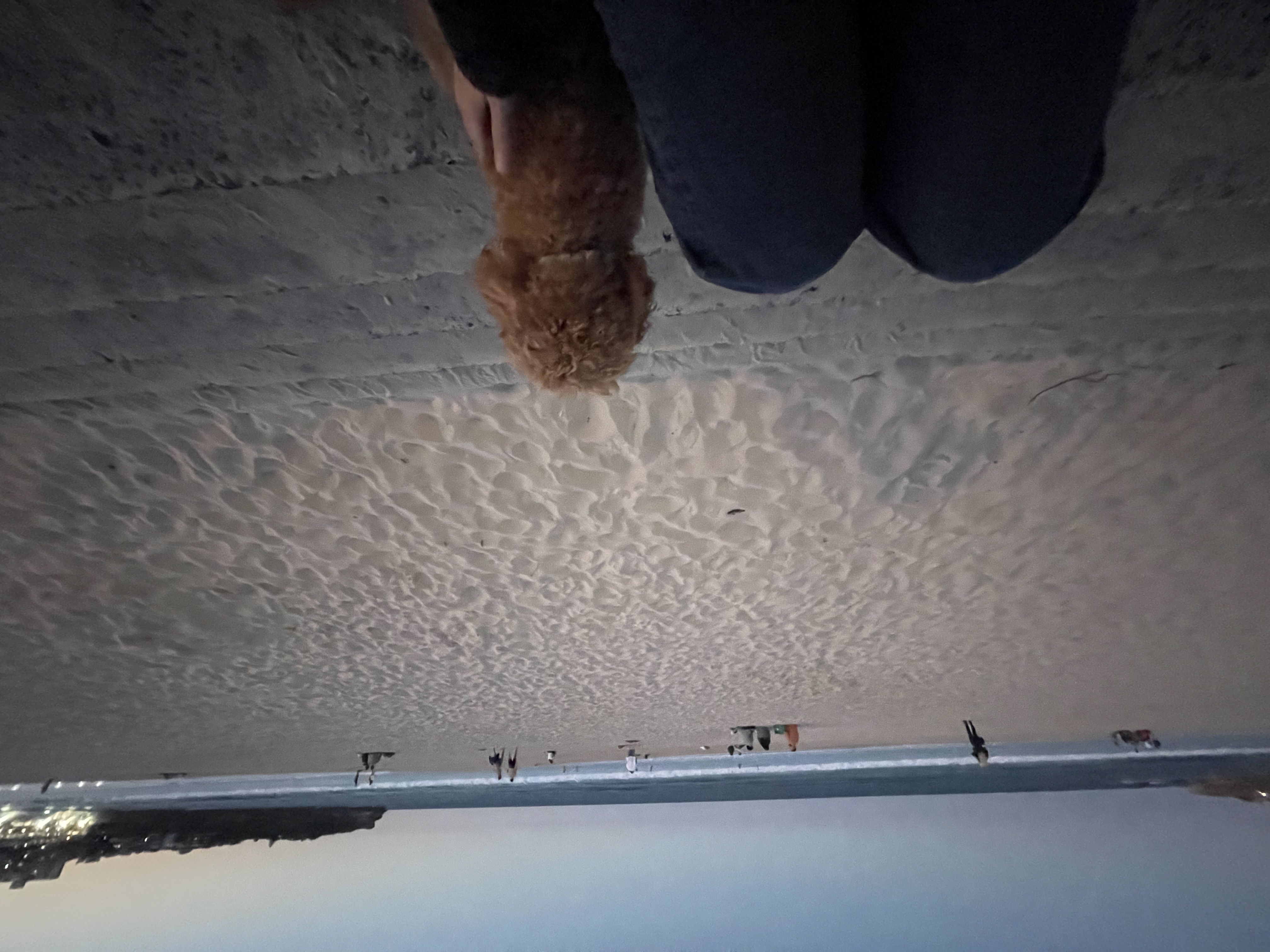 image-13