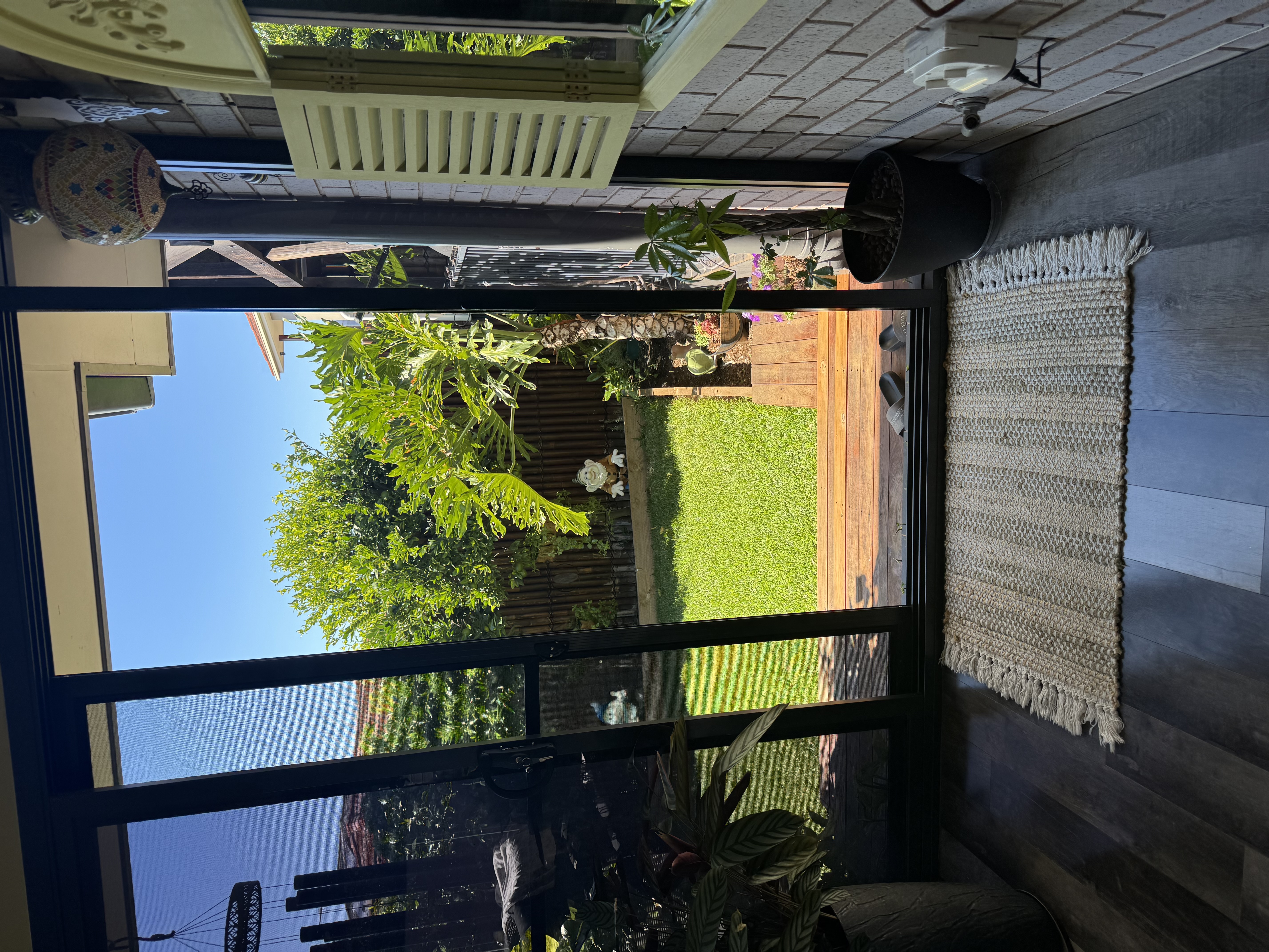 image-19