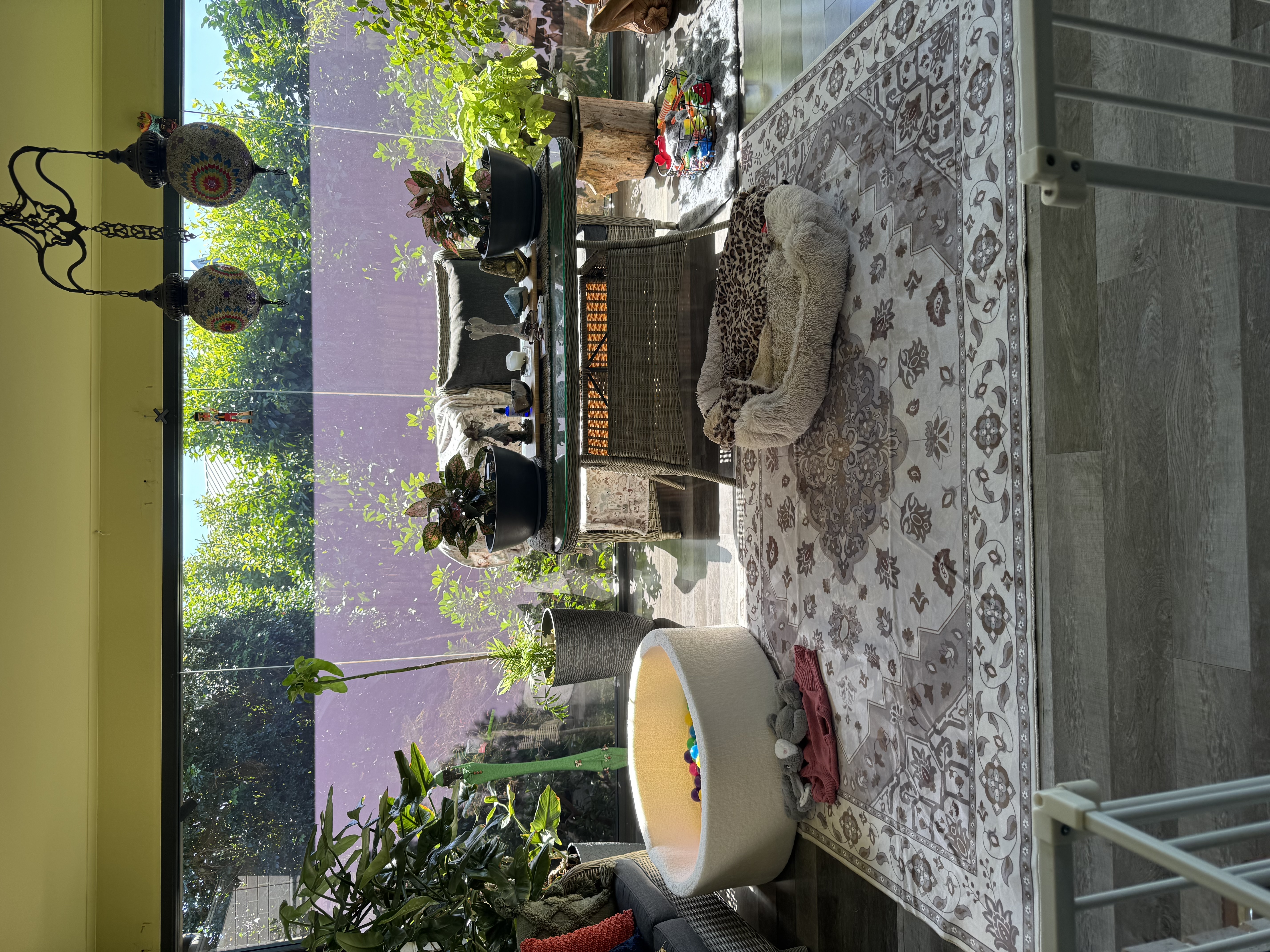 image-15
