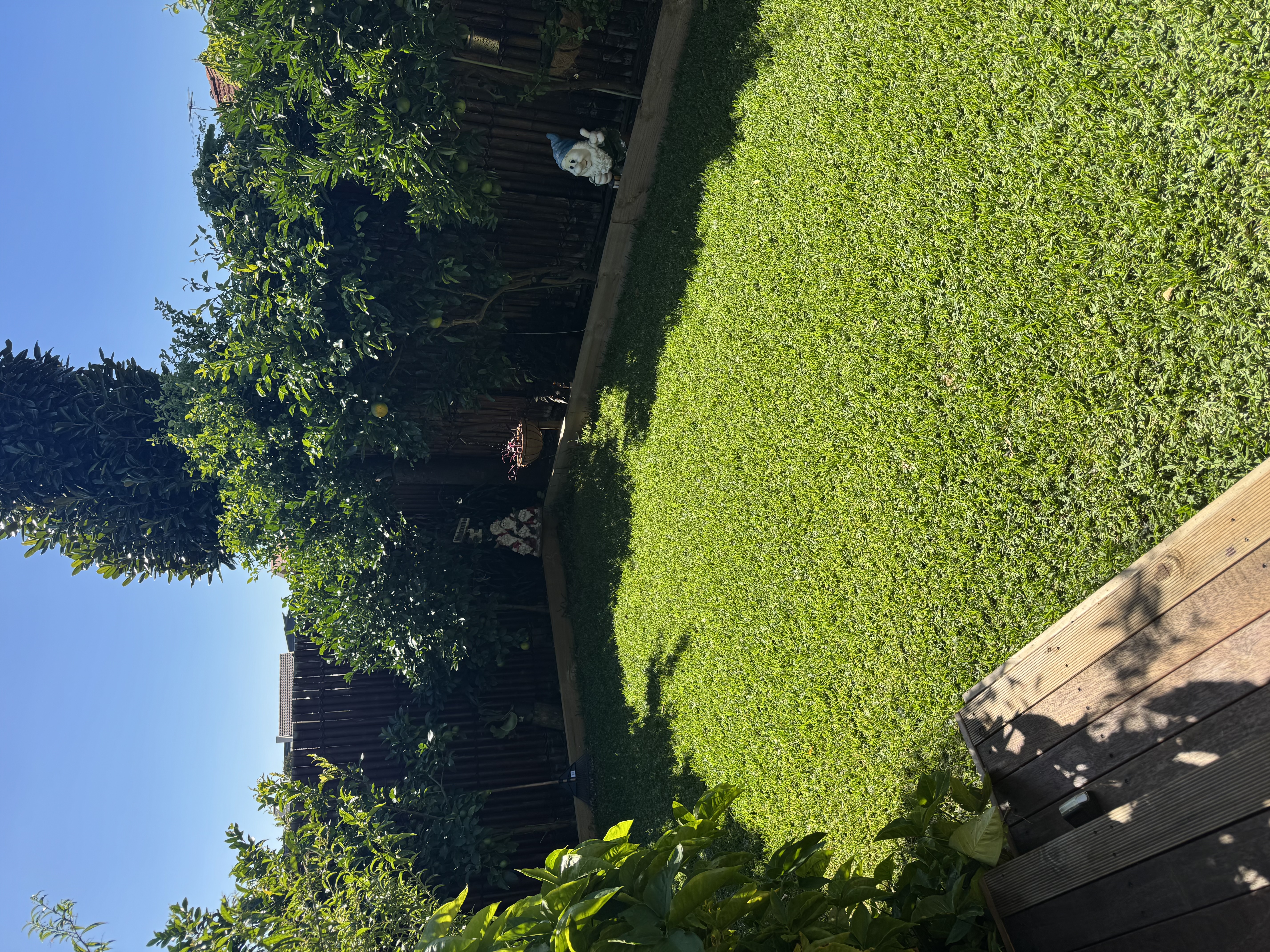 image-20