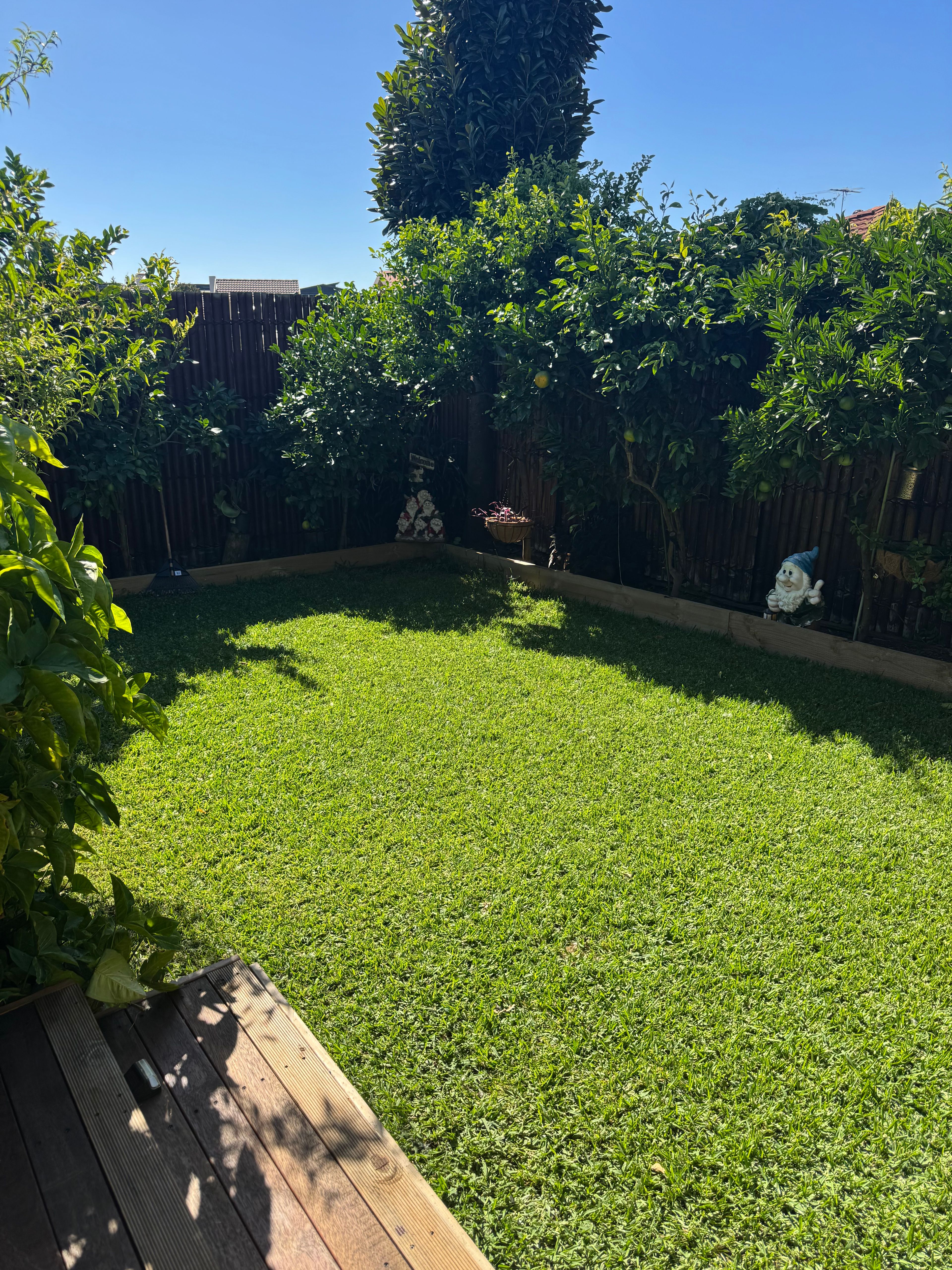image-20