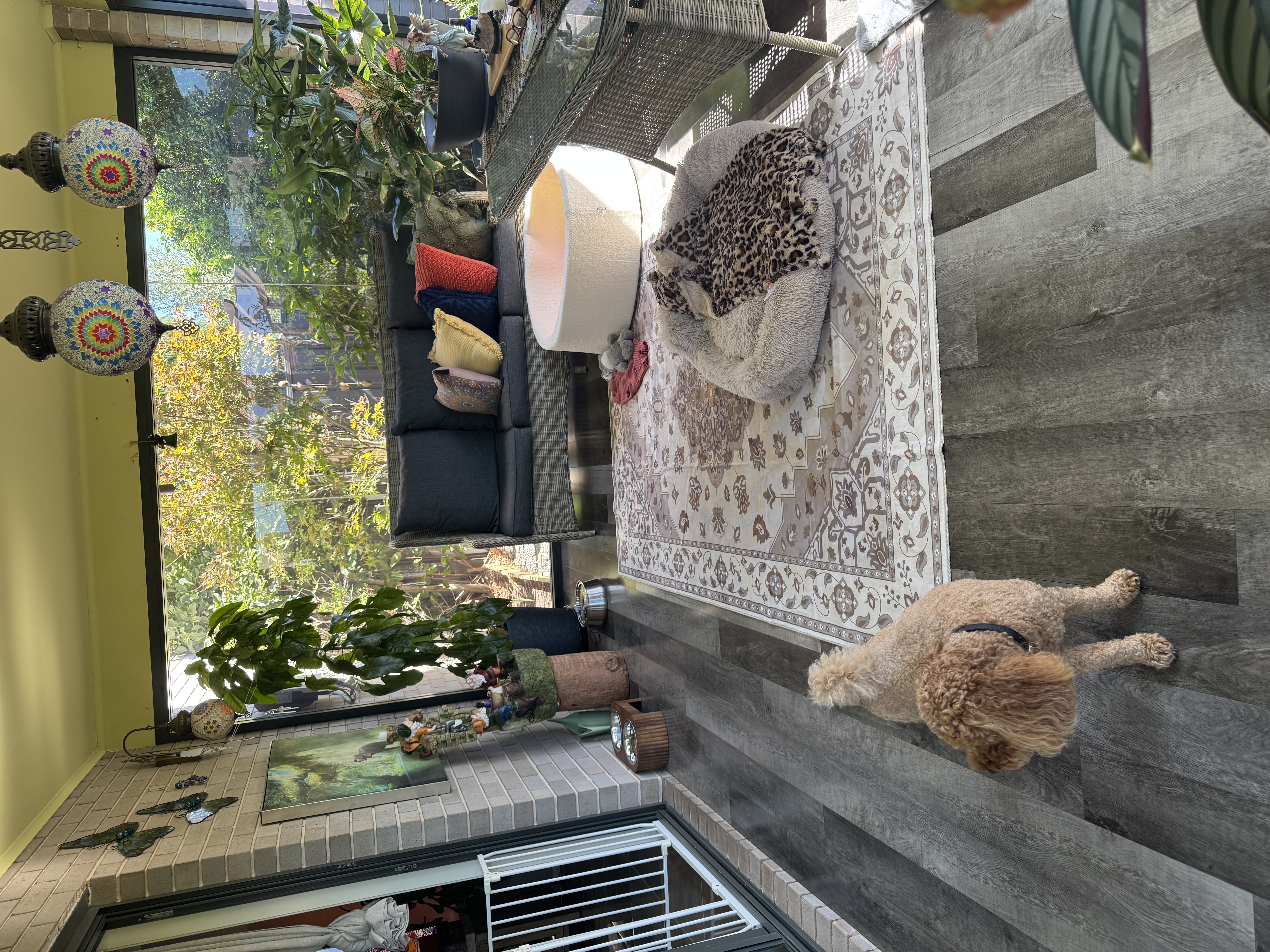 image-16