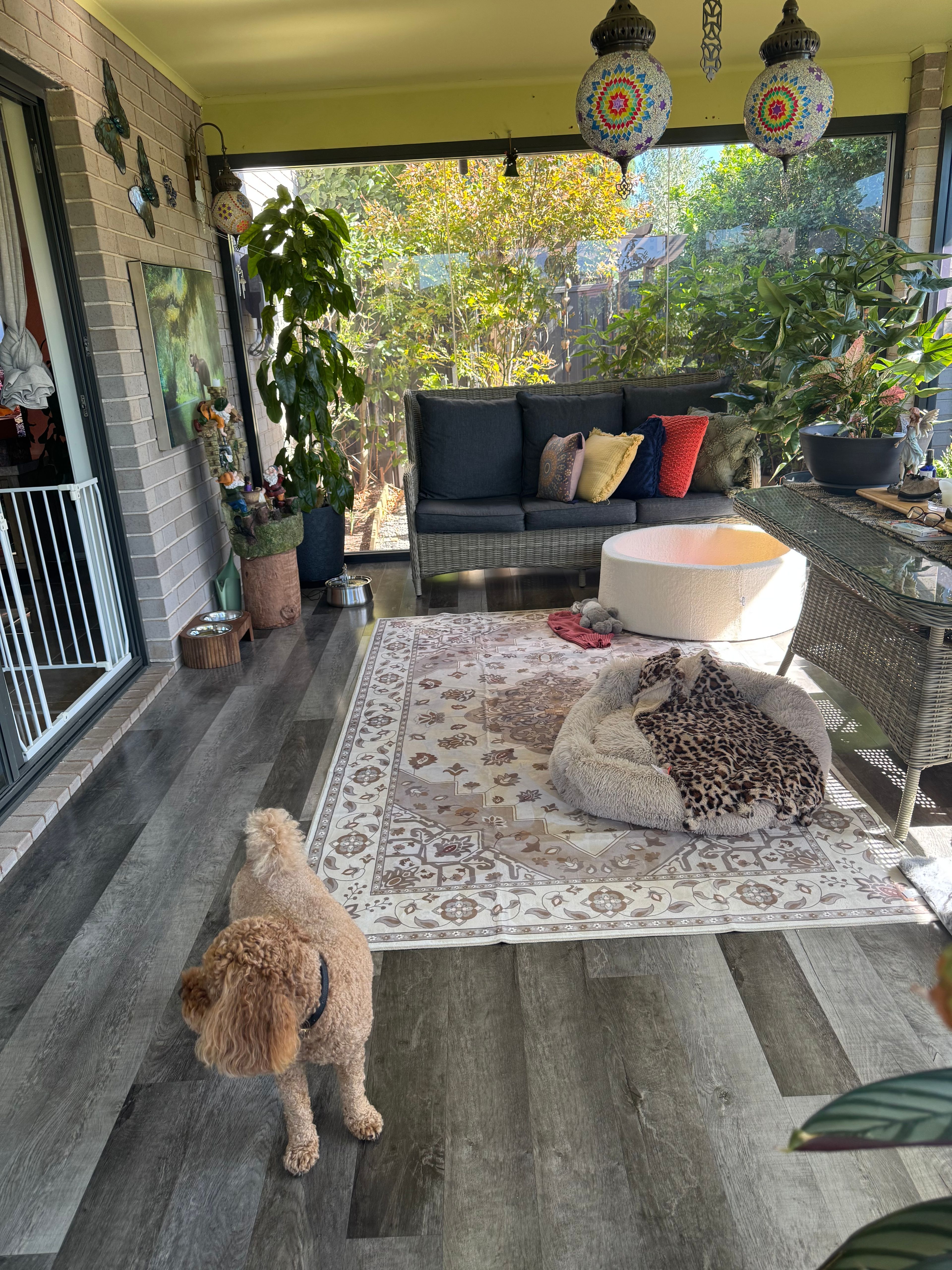image-16