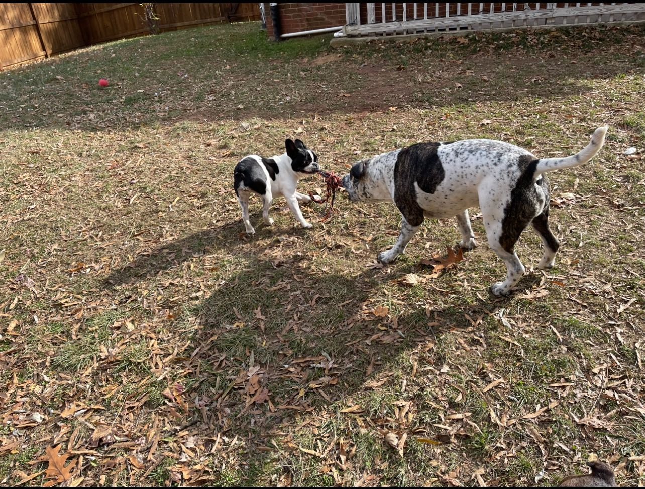 image-23