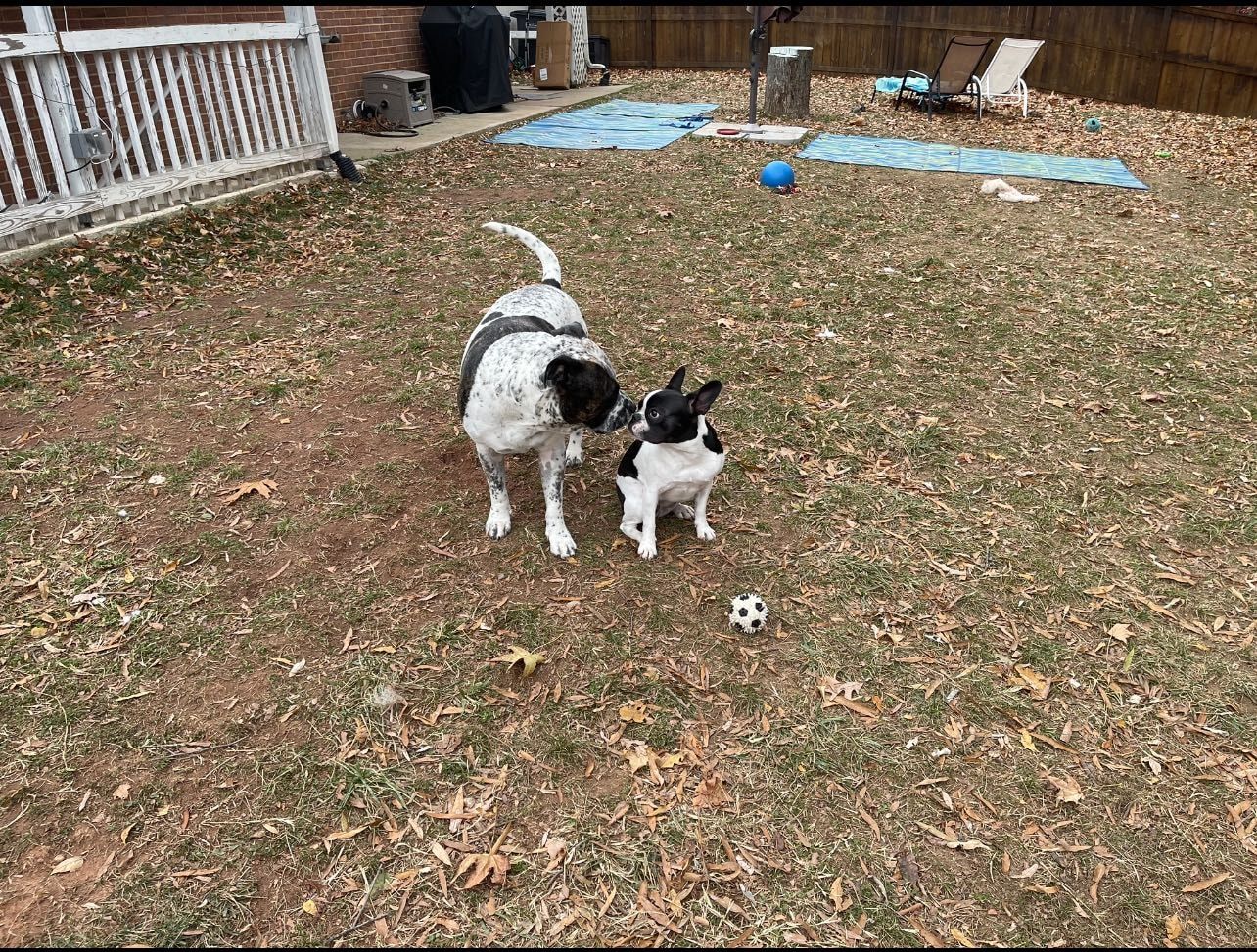 image-24