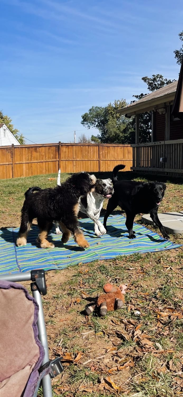 image-16