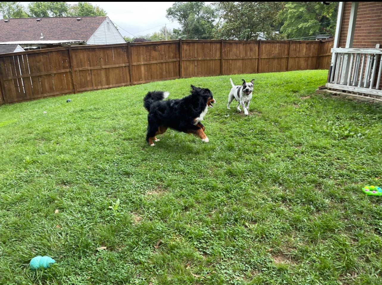 image-28