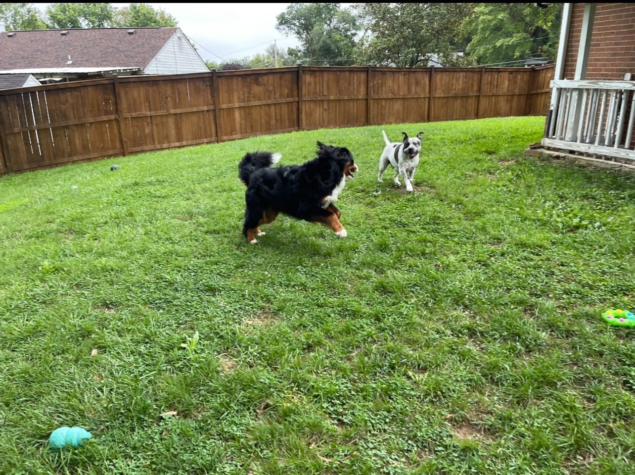 image-28