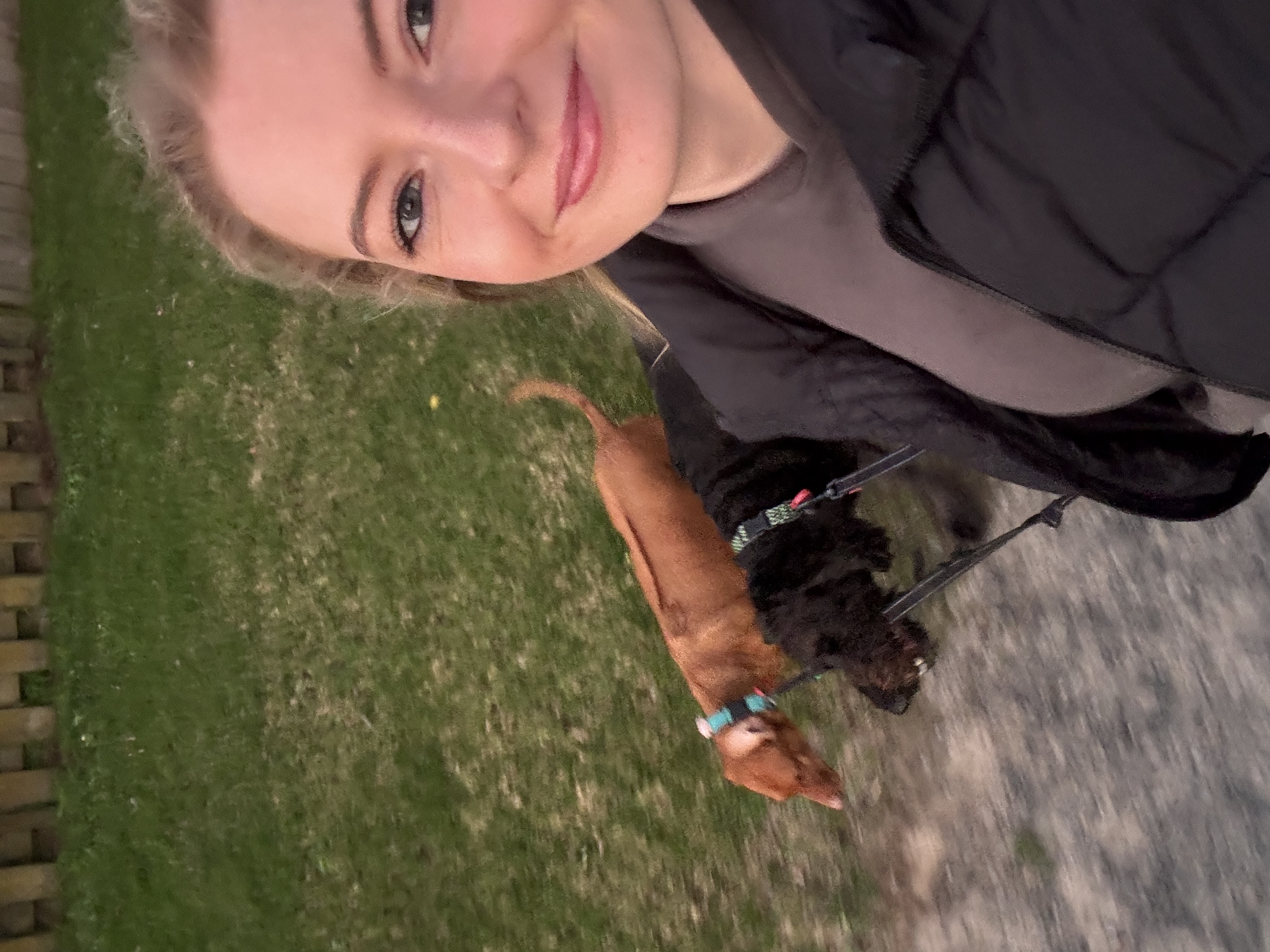 image-2