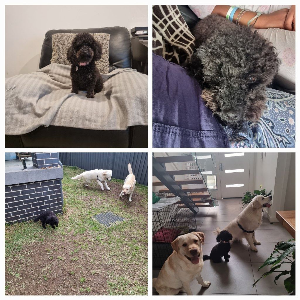 image-17