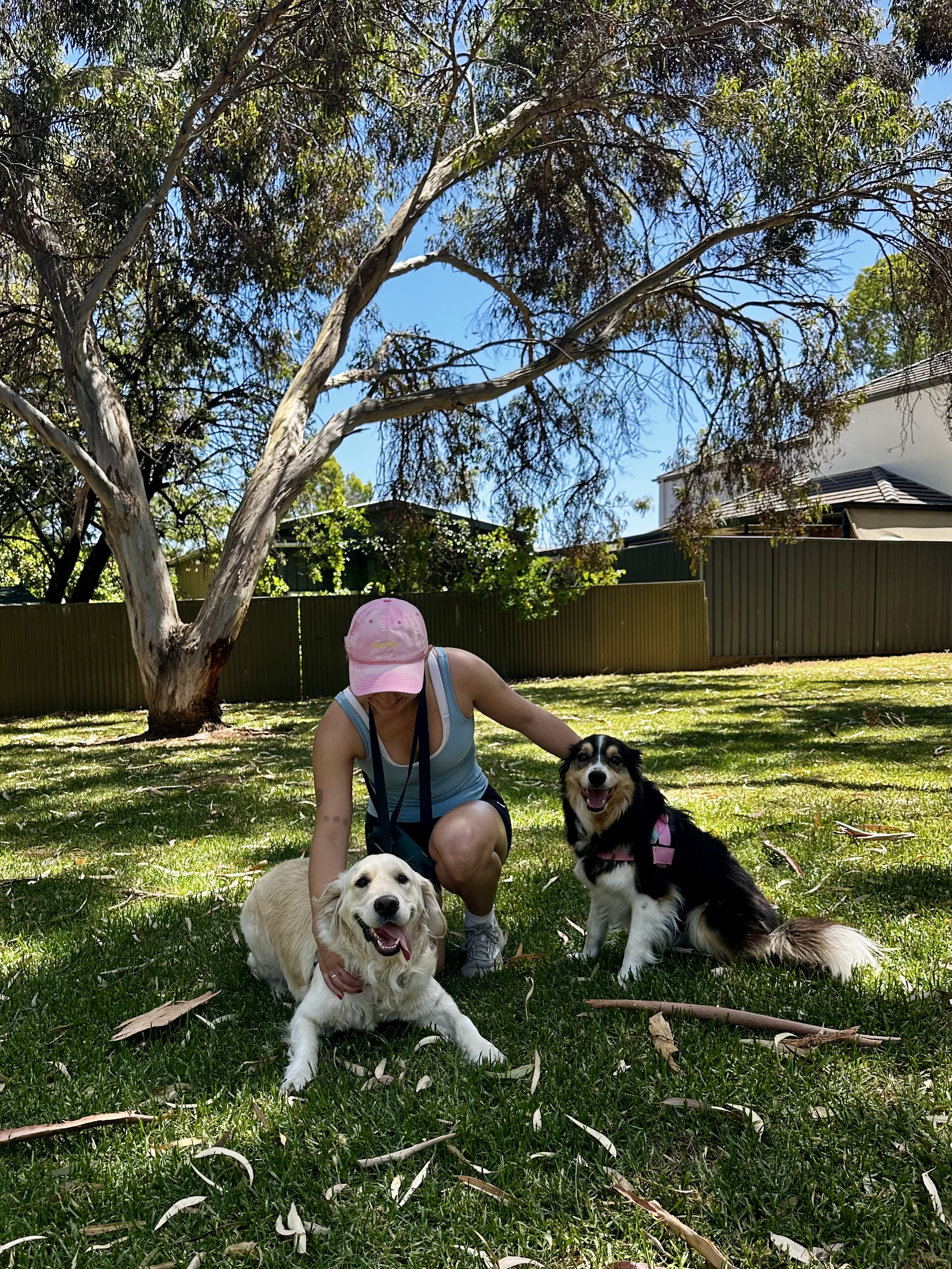 image-20