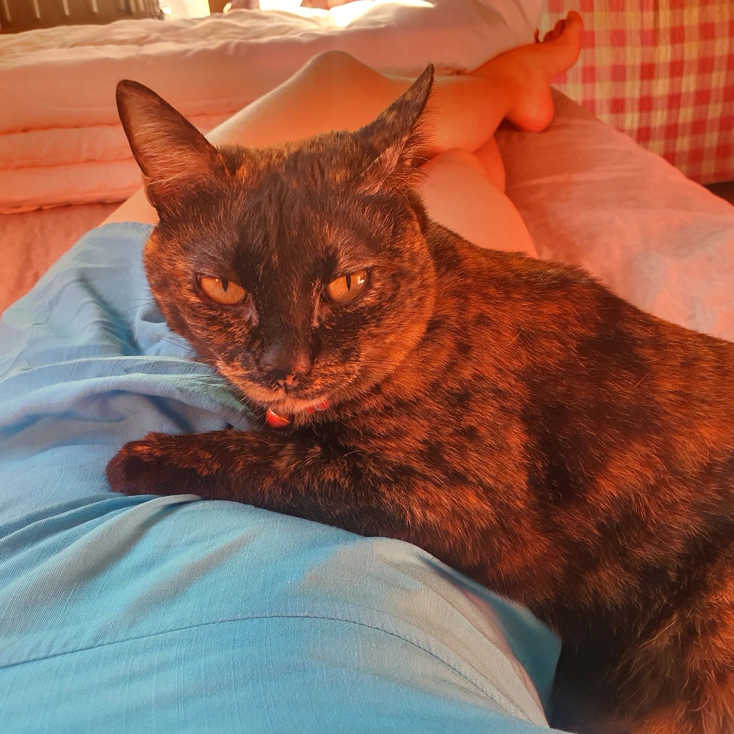 image-9