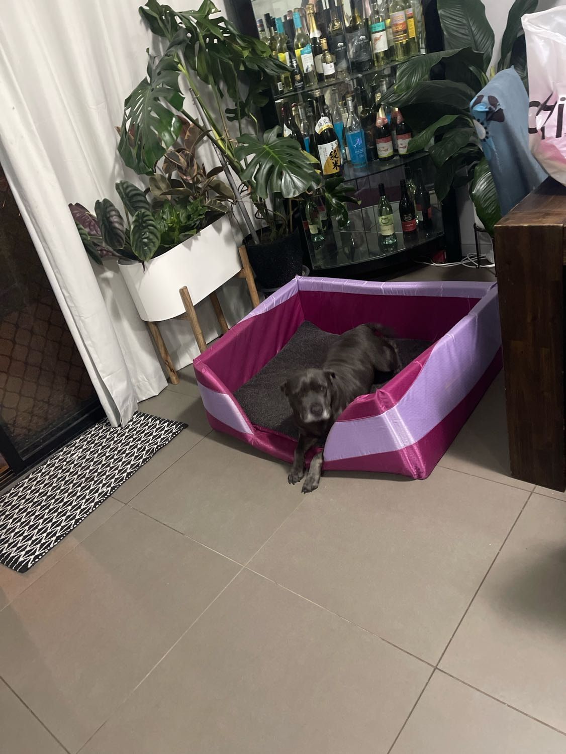 image-72