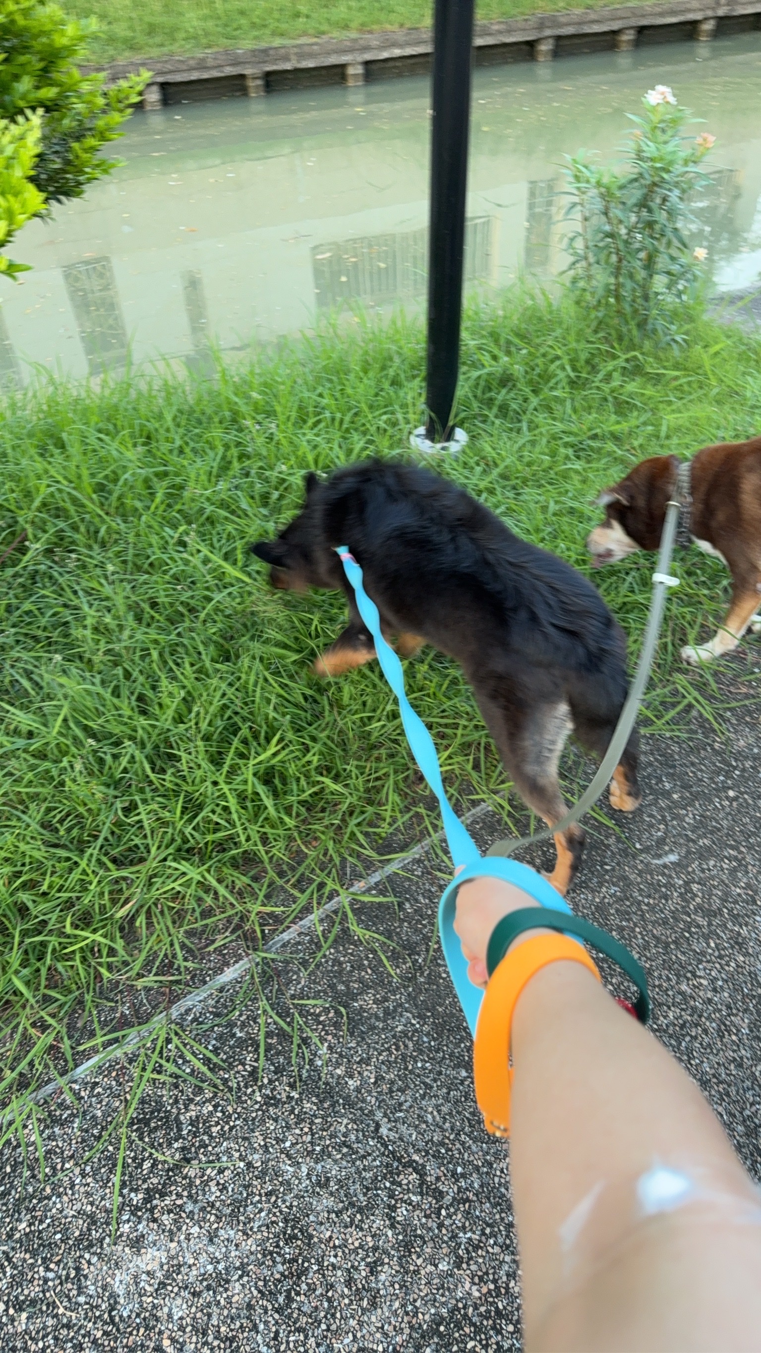 image-7