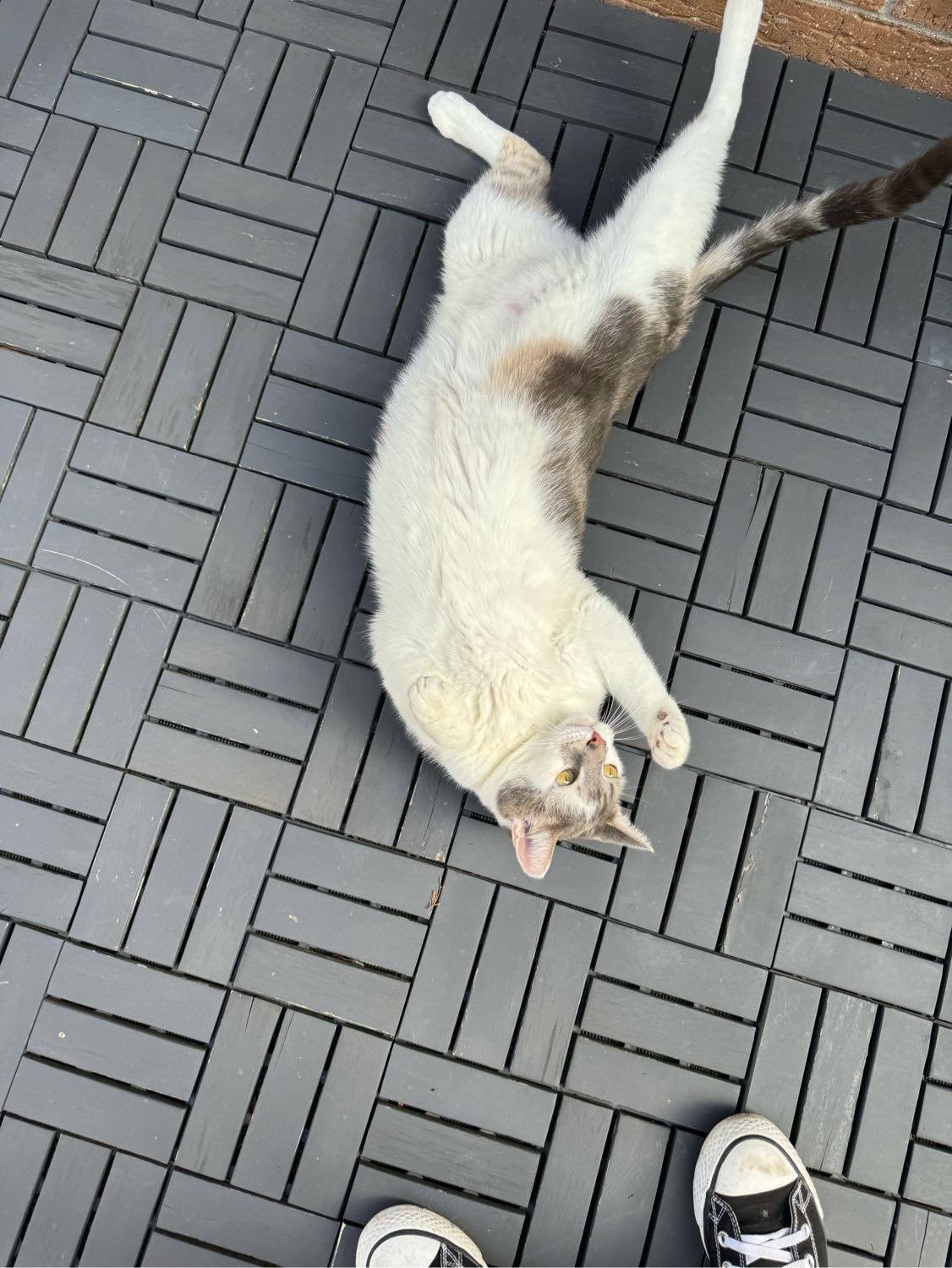 image-10
