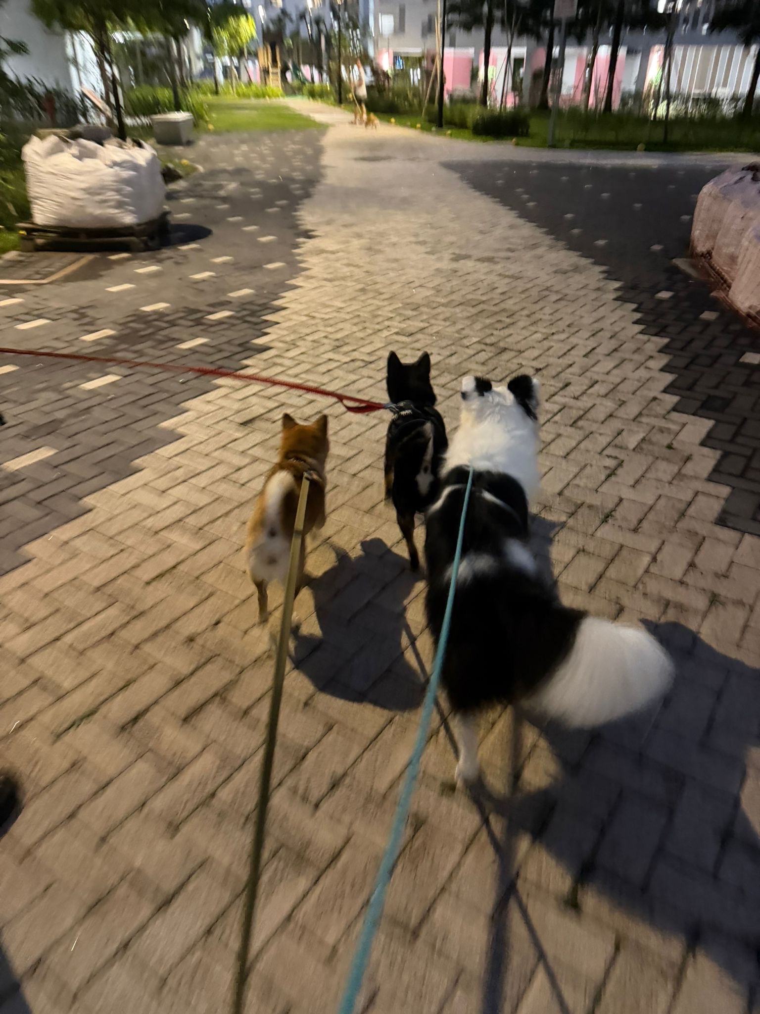 image-11