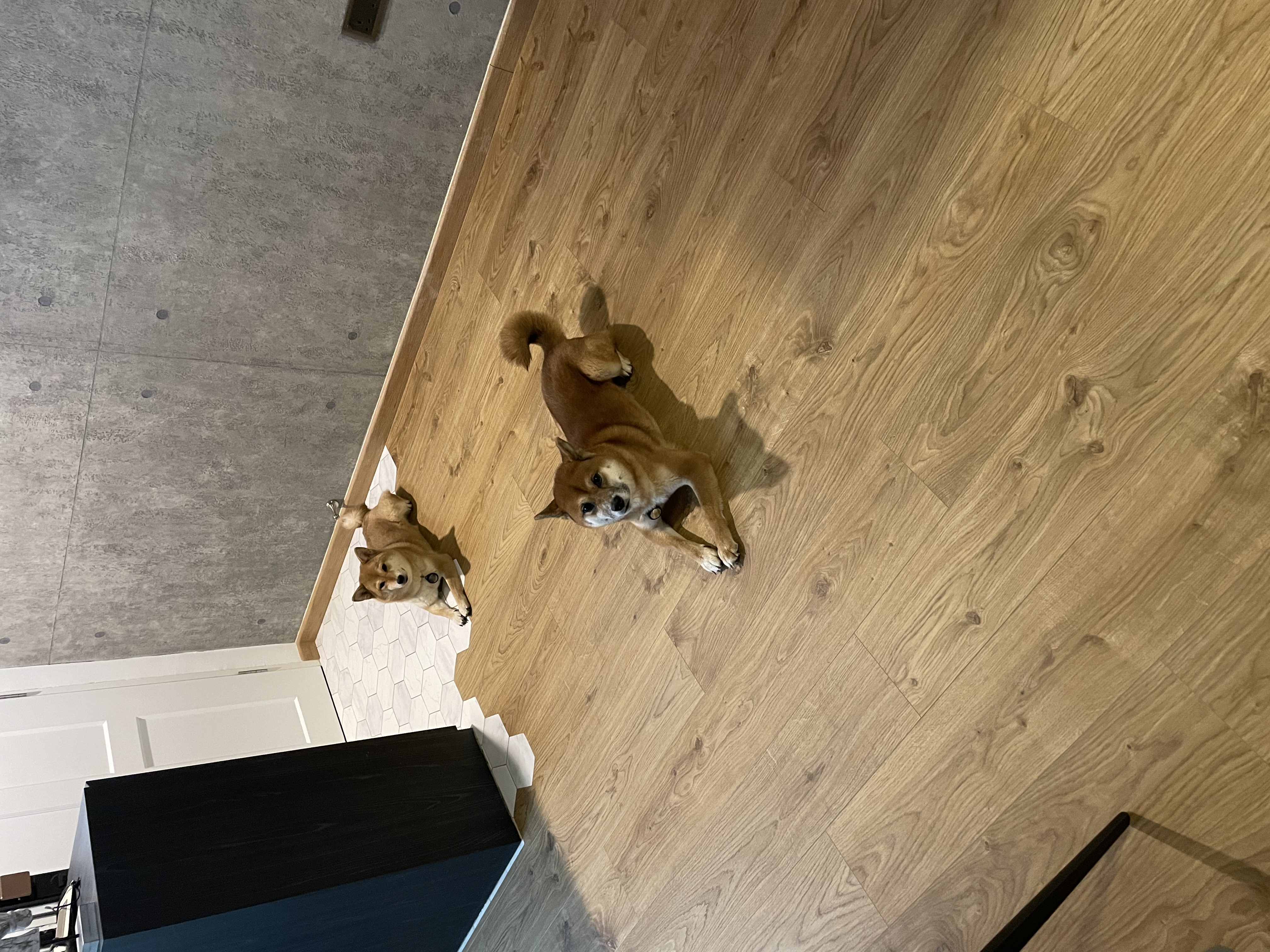 image-14