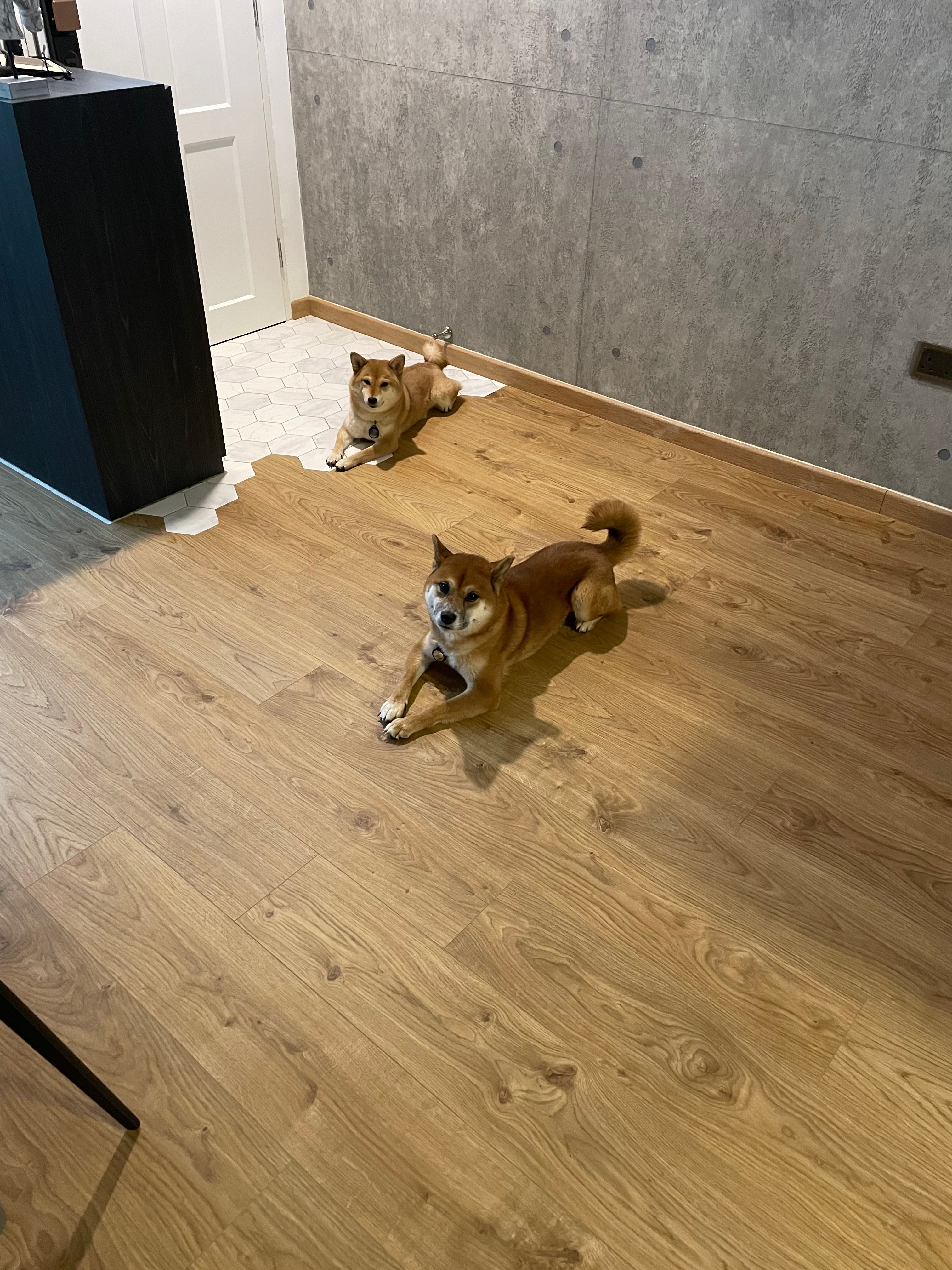 image-14