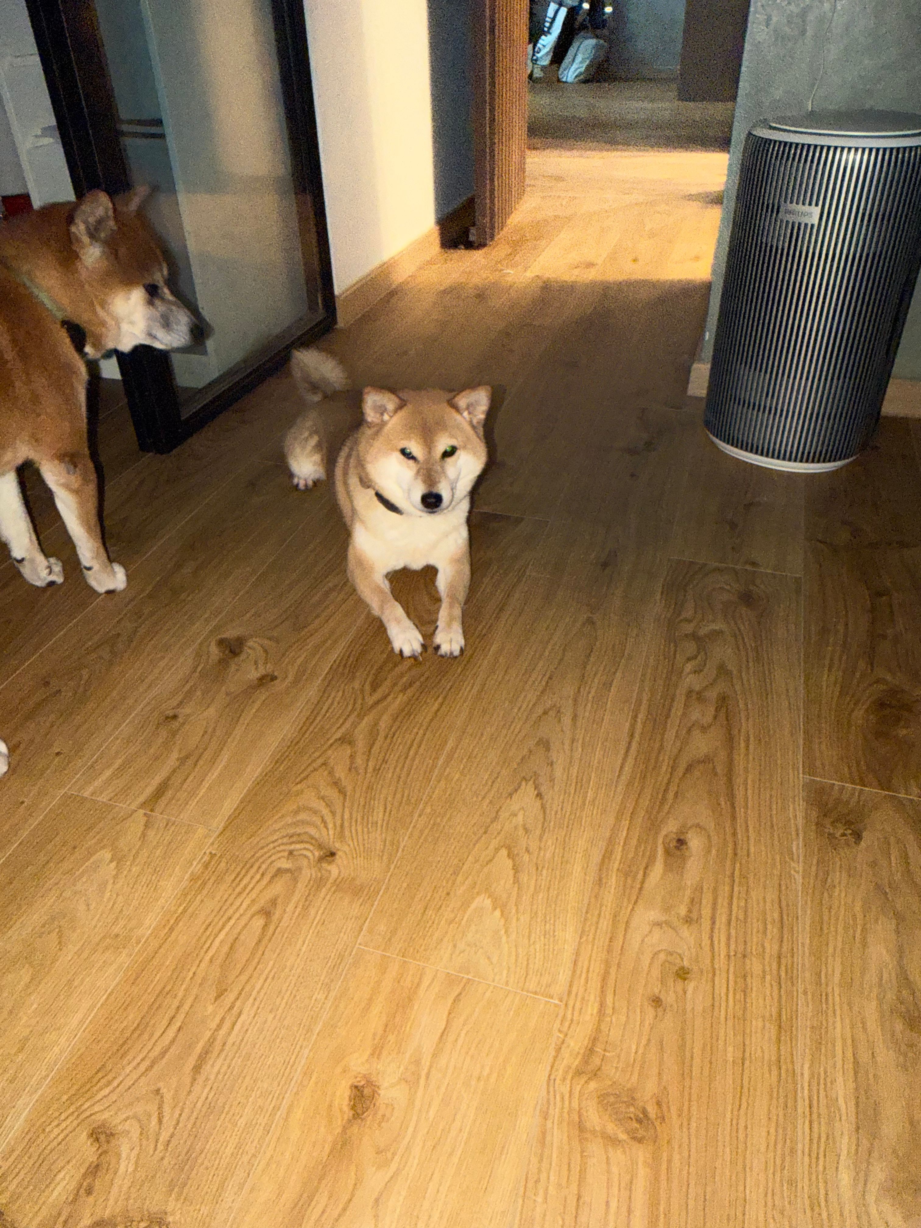image-13