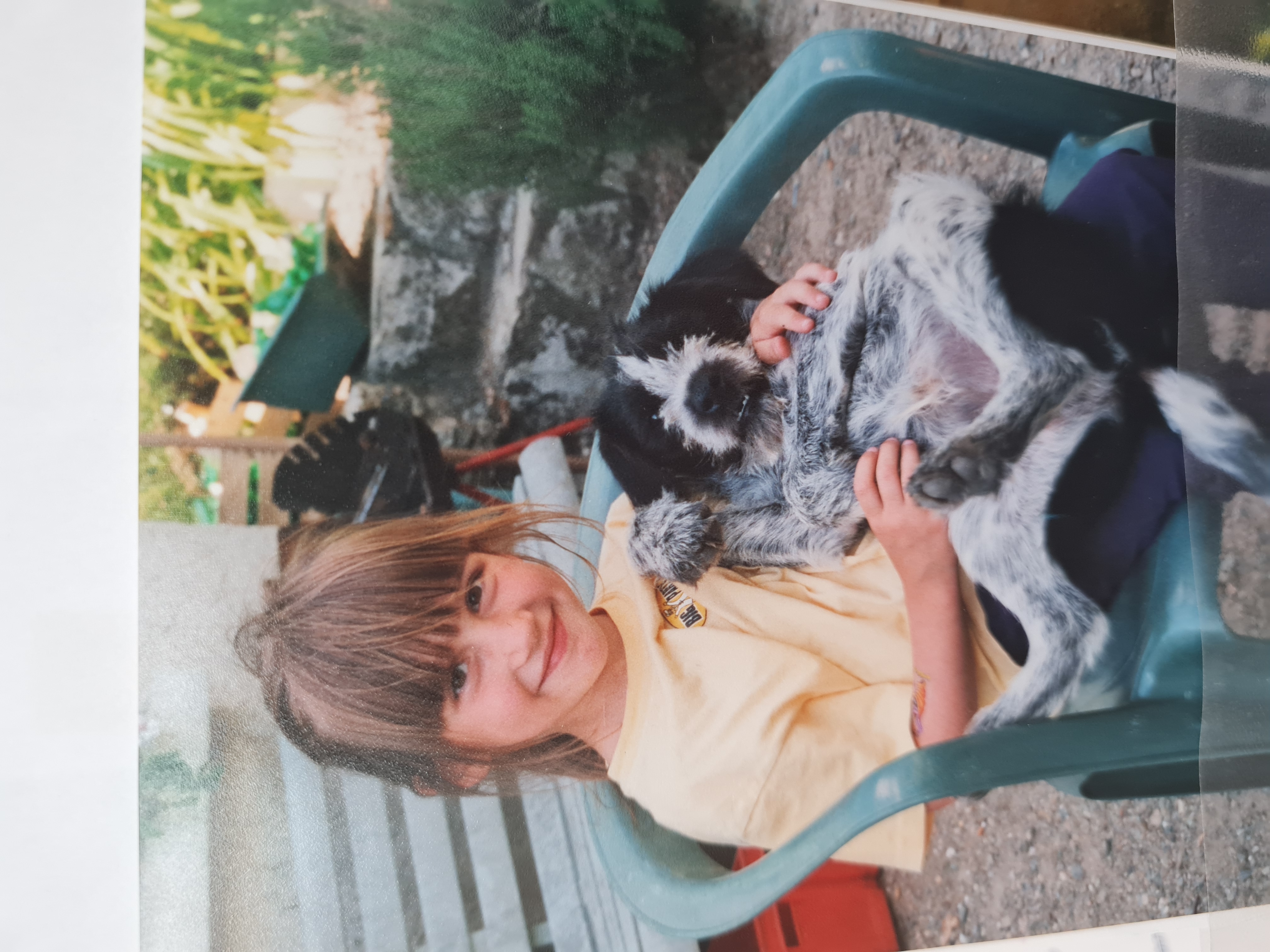 image-2