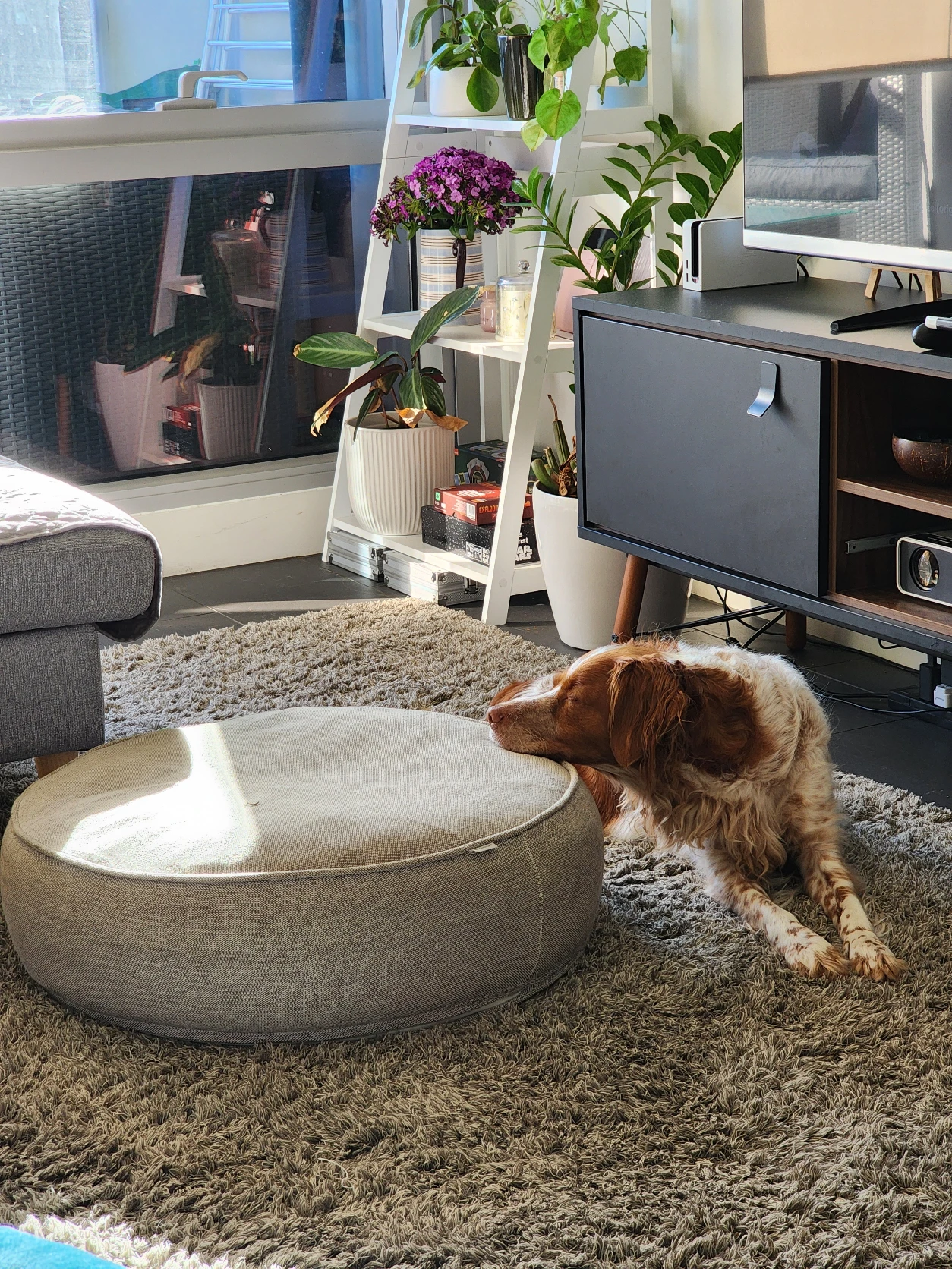 image-15