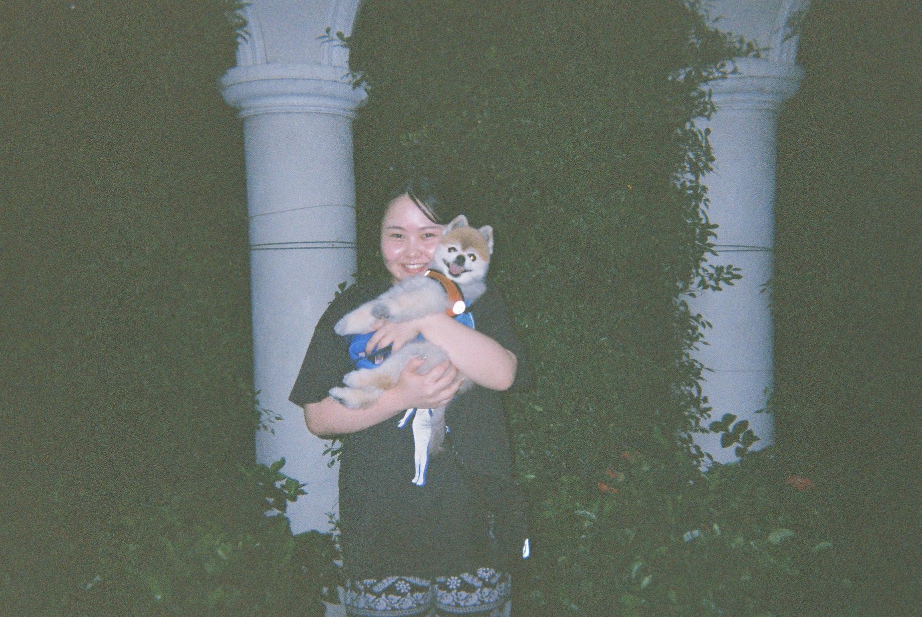 image-7