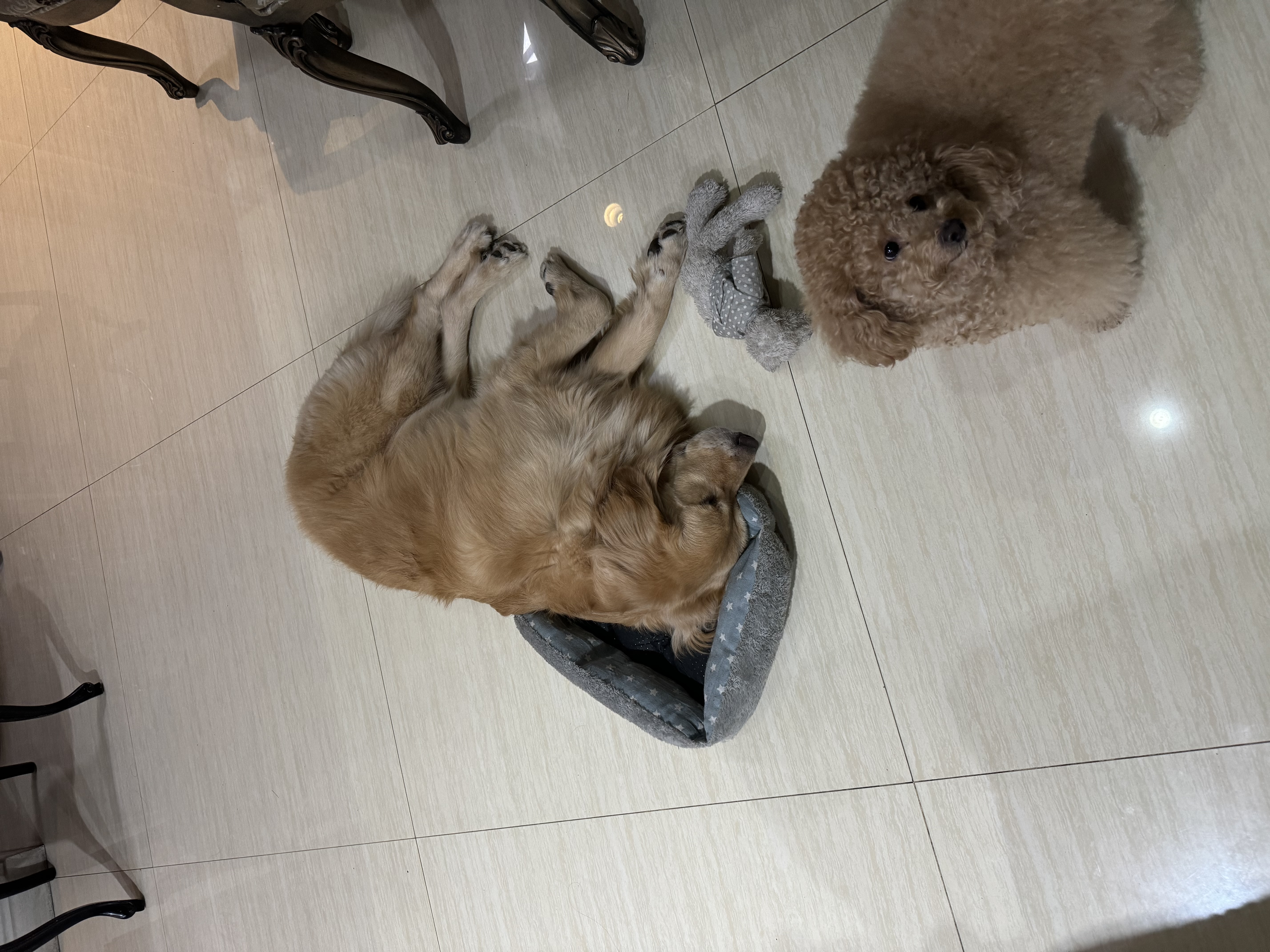 image-3