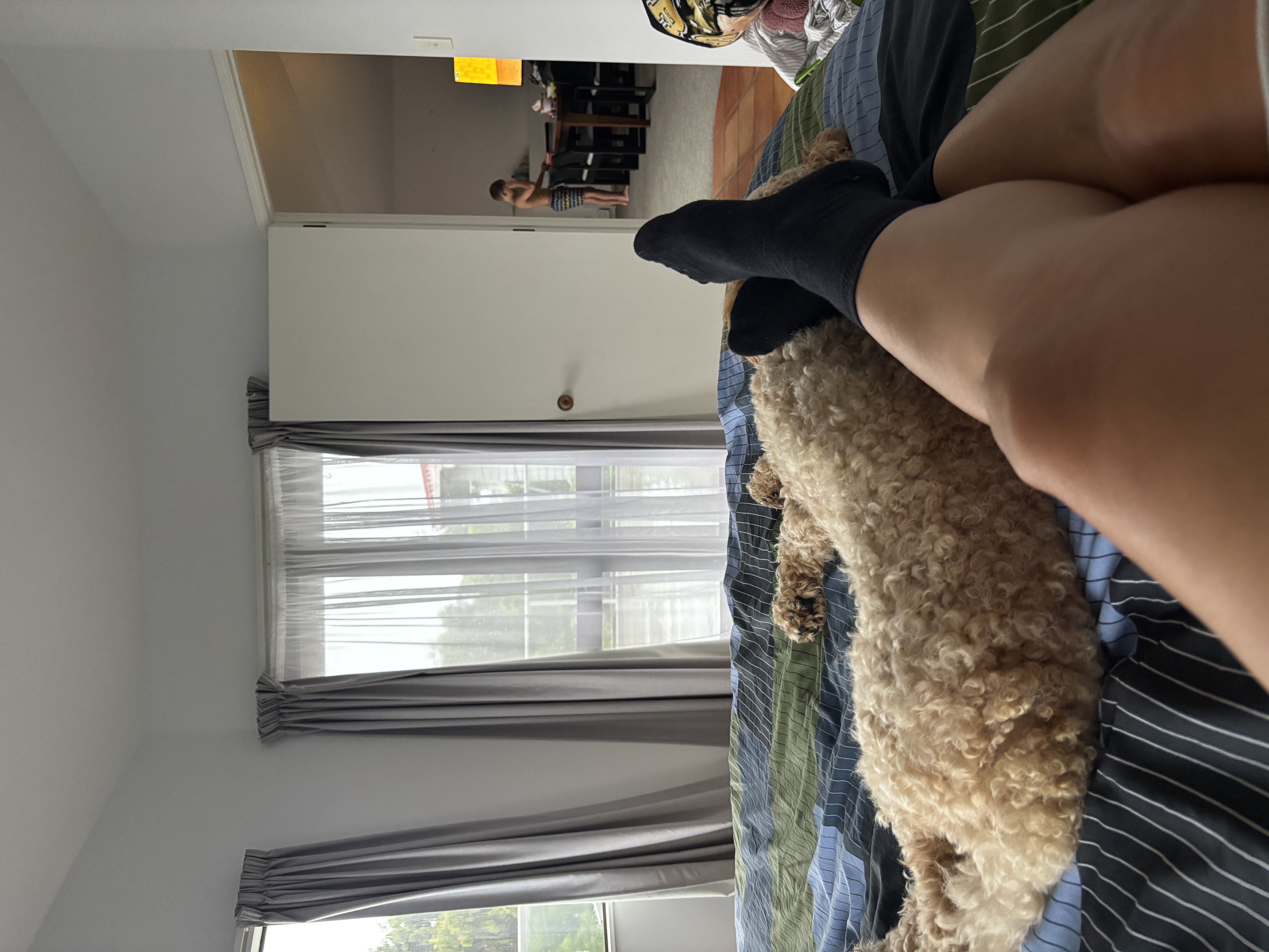 image-8