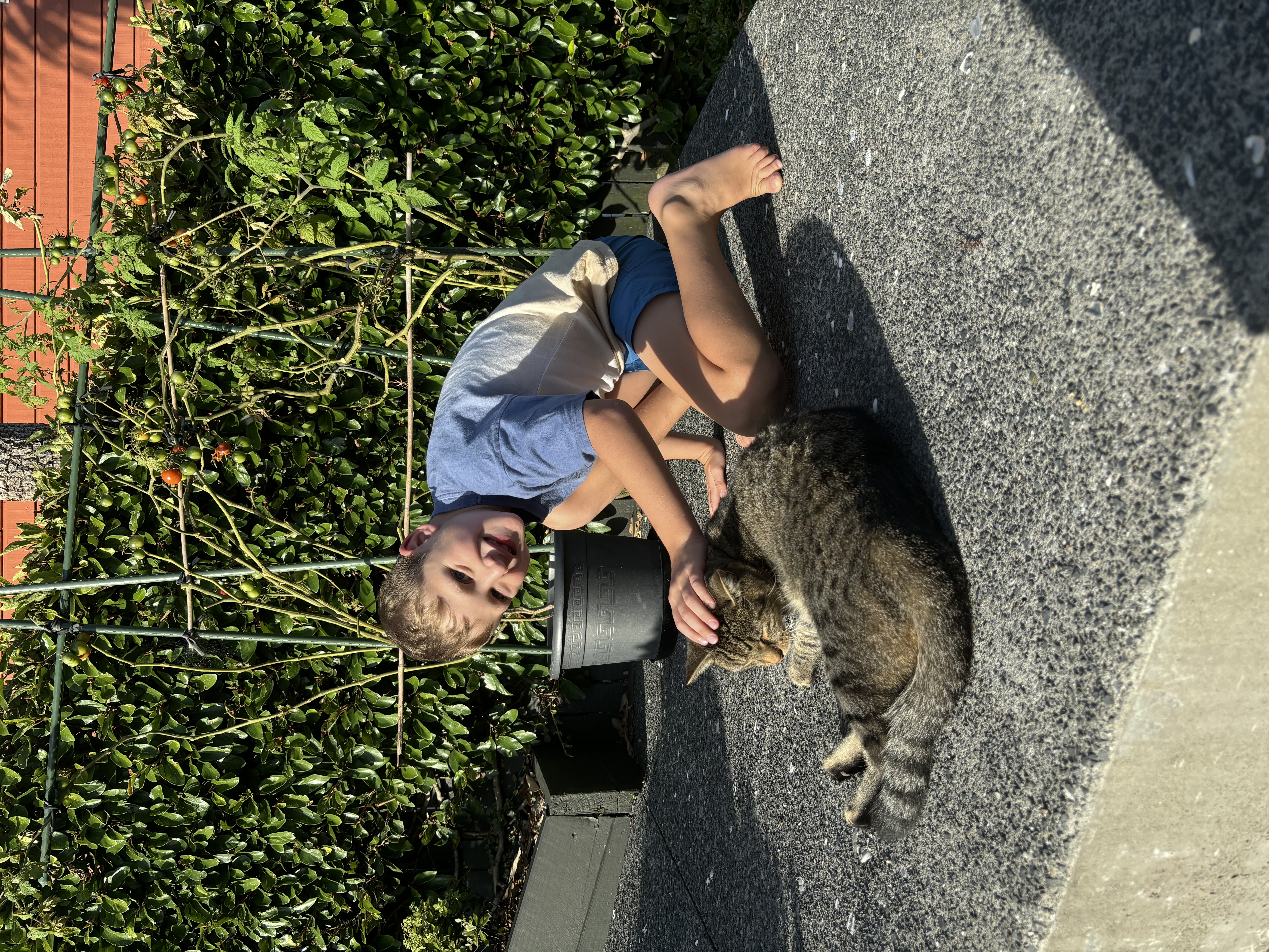 image-14