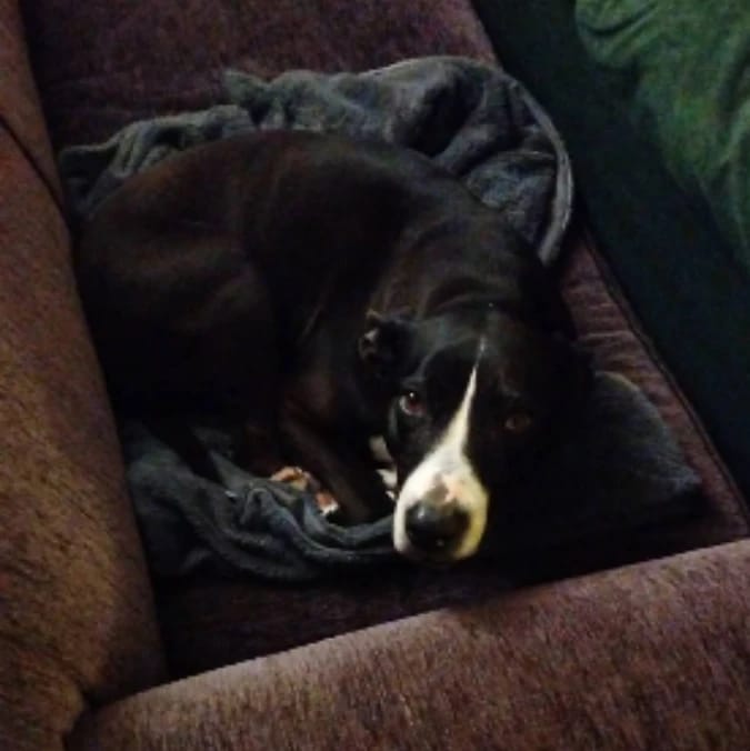 Josie